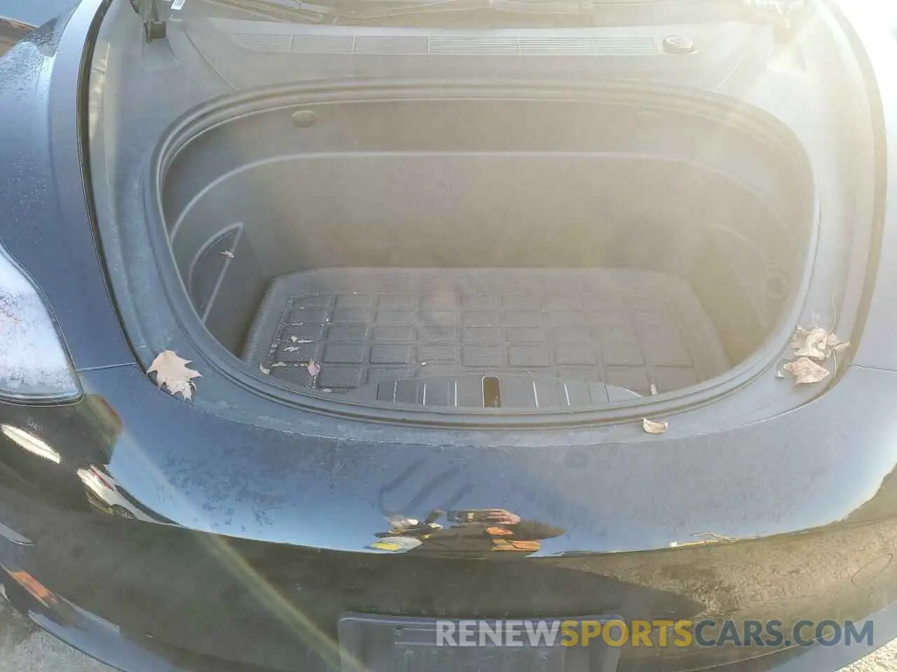 11 fotografías del automóvil dañado 5YJ3E1EA6PF437633 TESLA MODEL 3 2023