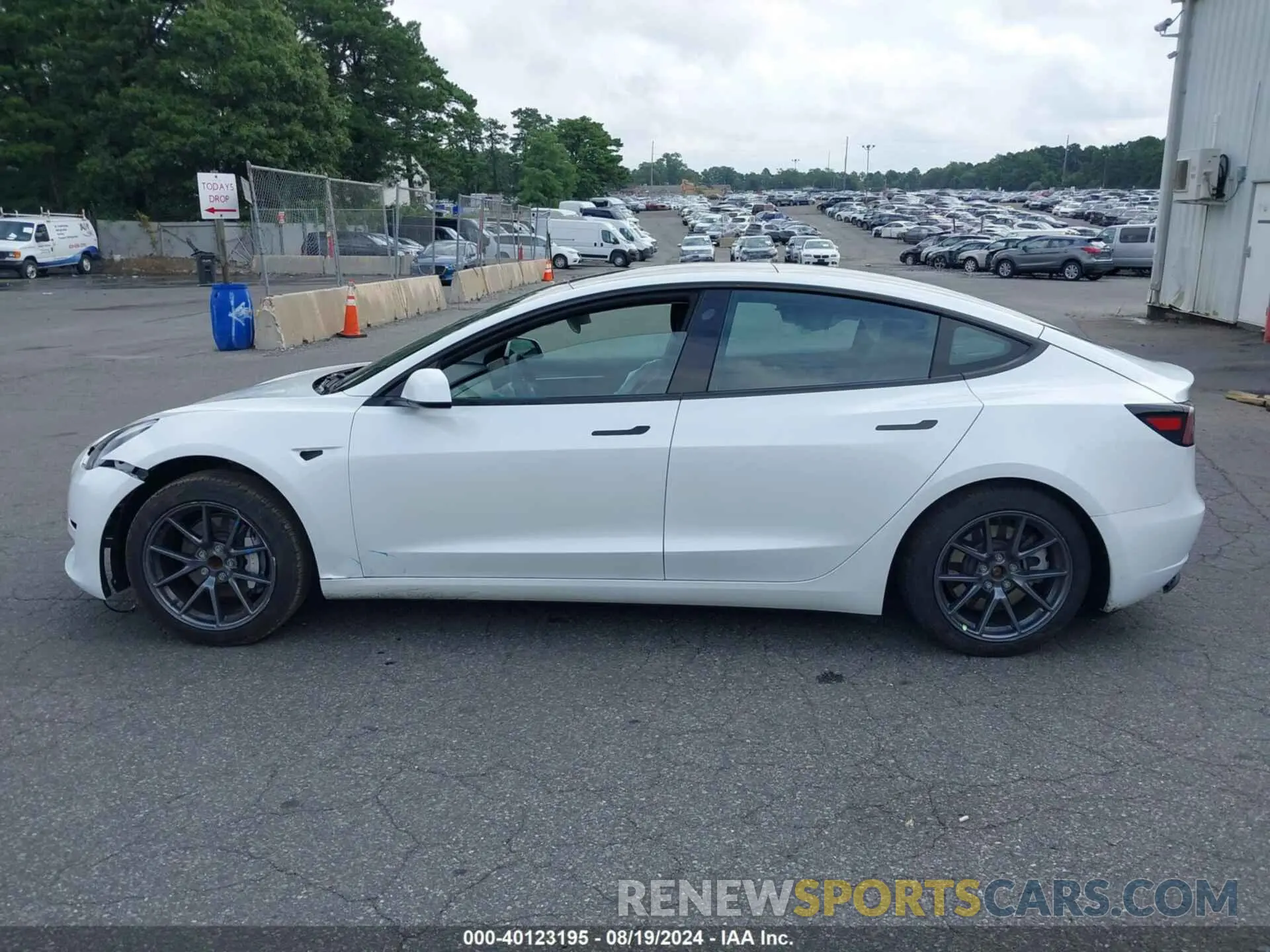 14 fotografías del automóvil dañado 5YJ3E1EA6PF509527 TESLA MODEL 3 2023