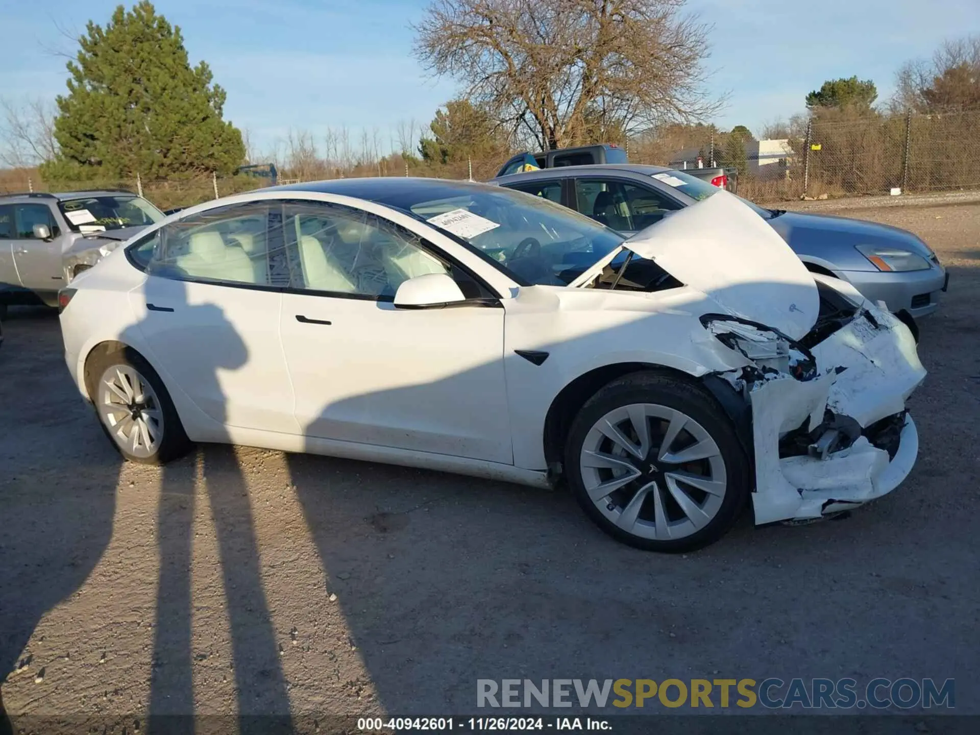 12 fotografías del automóvil dañado 5YJ3E1EA6PF559537 TESLA MODEL 3 2023