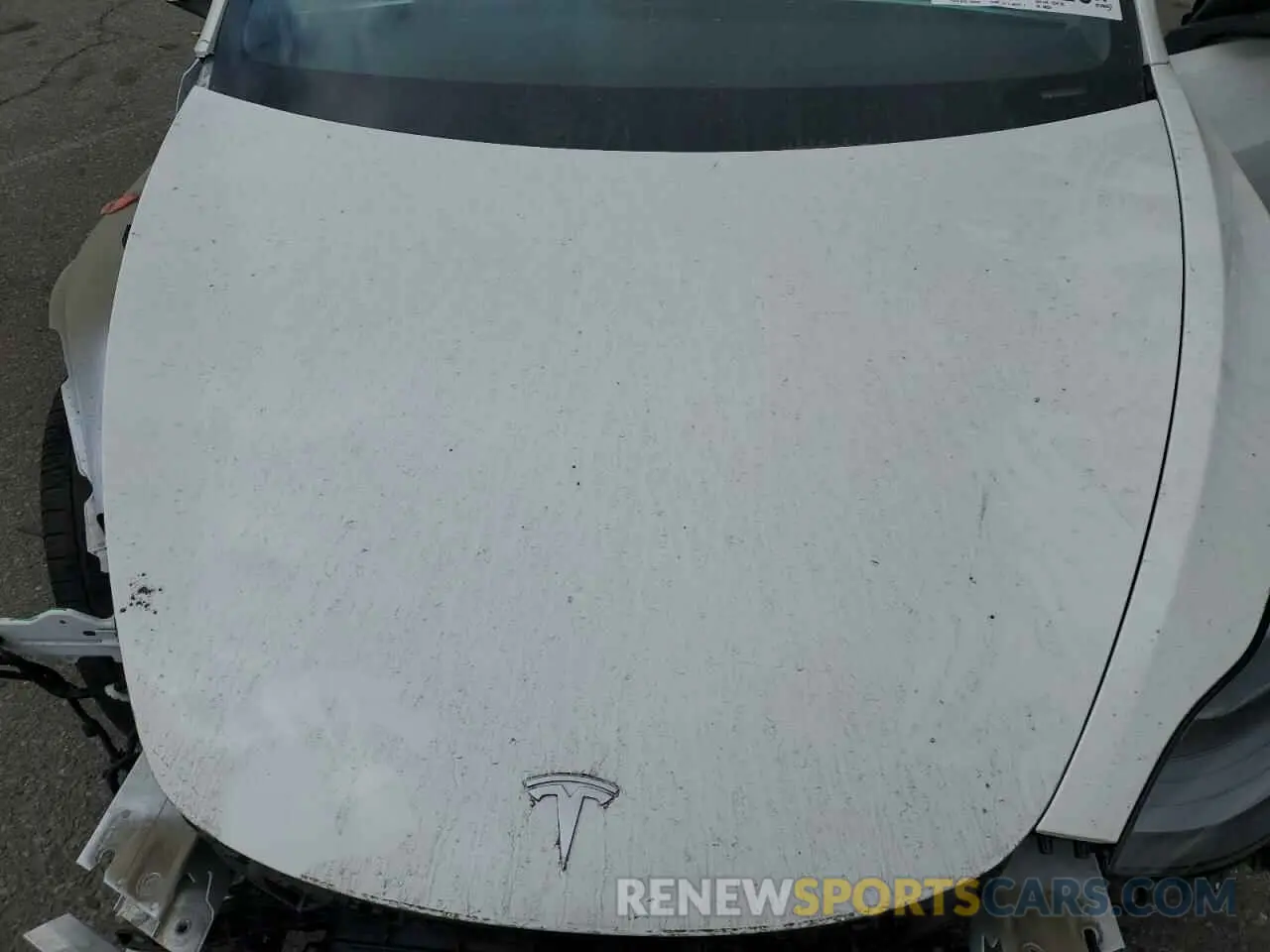 11 fotografías del automóvil dañado 5YJ3E1EA6PF580355 TESLA MODEL 3 2023