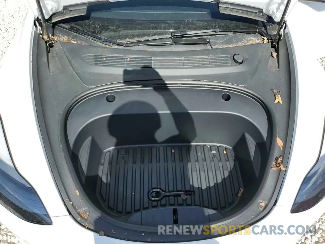 12 fotografías del automóvil dañado 5YJ3E1EA6PF601947 TESLA MODEL 3 2023