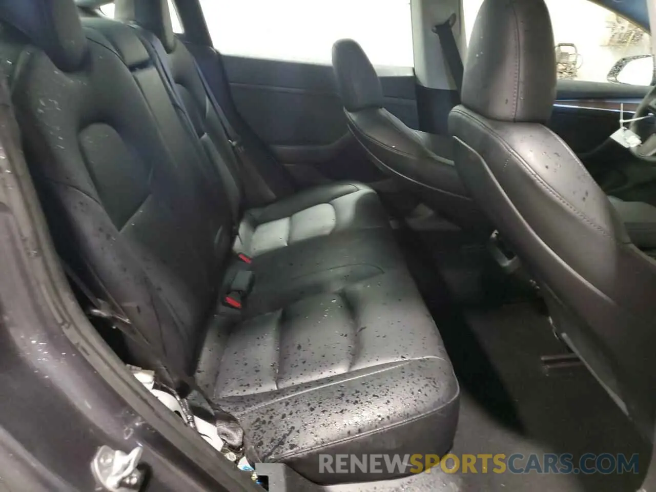 10 fotografías del automóvil dañado 5YJ3E1EA6PF651117 TESLA MODEL 3 2023