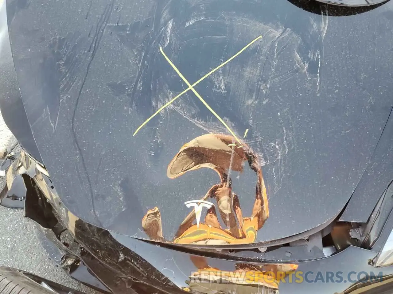 11 fotografías del automóvil dañado 5YJ3E1EA6PF689155 TESLA MODEL 3 2023