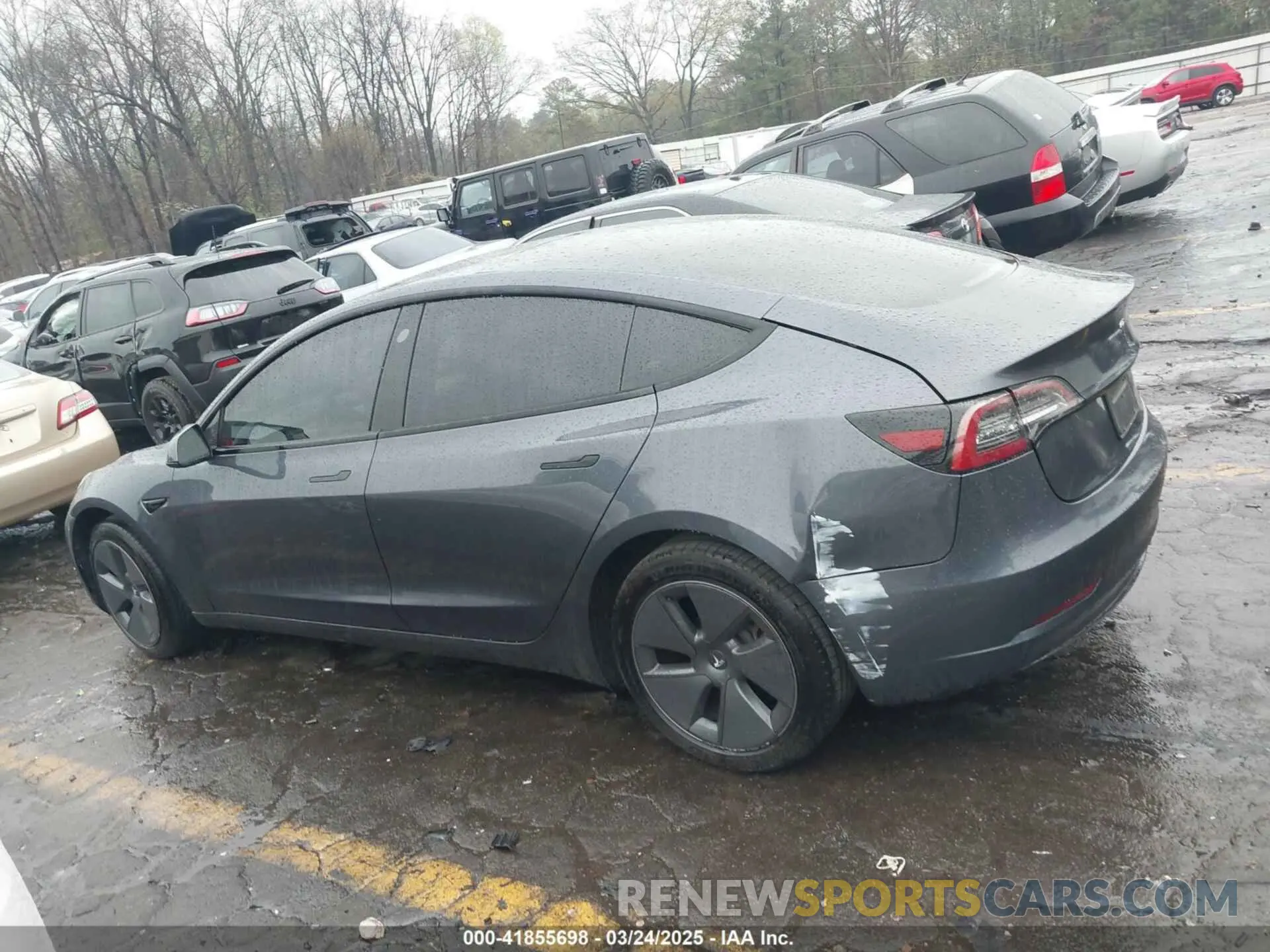 13 fotografías del automóvil dañado 5YJ3E1EA7PF403183 TESLA MODEL 3 2023