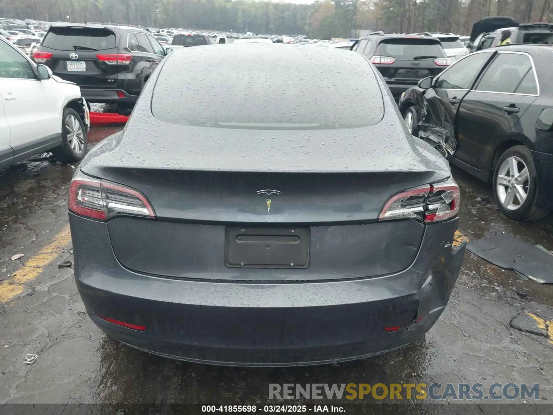 15 fotografías del automóvil dañado 5YJ3E1EA7PF403183 TESLA MODEL 3 2023