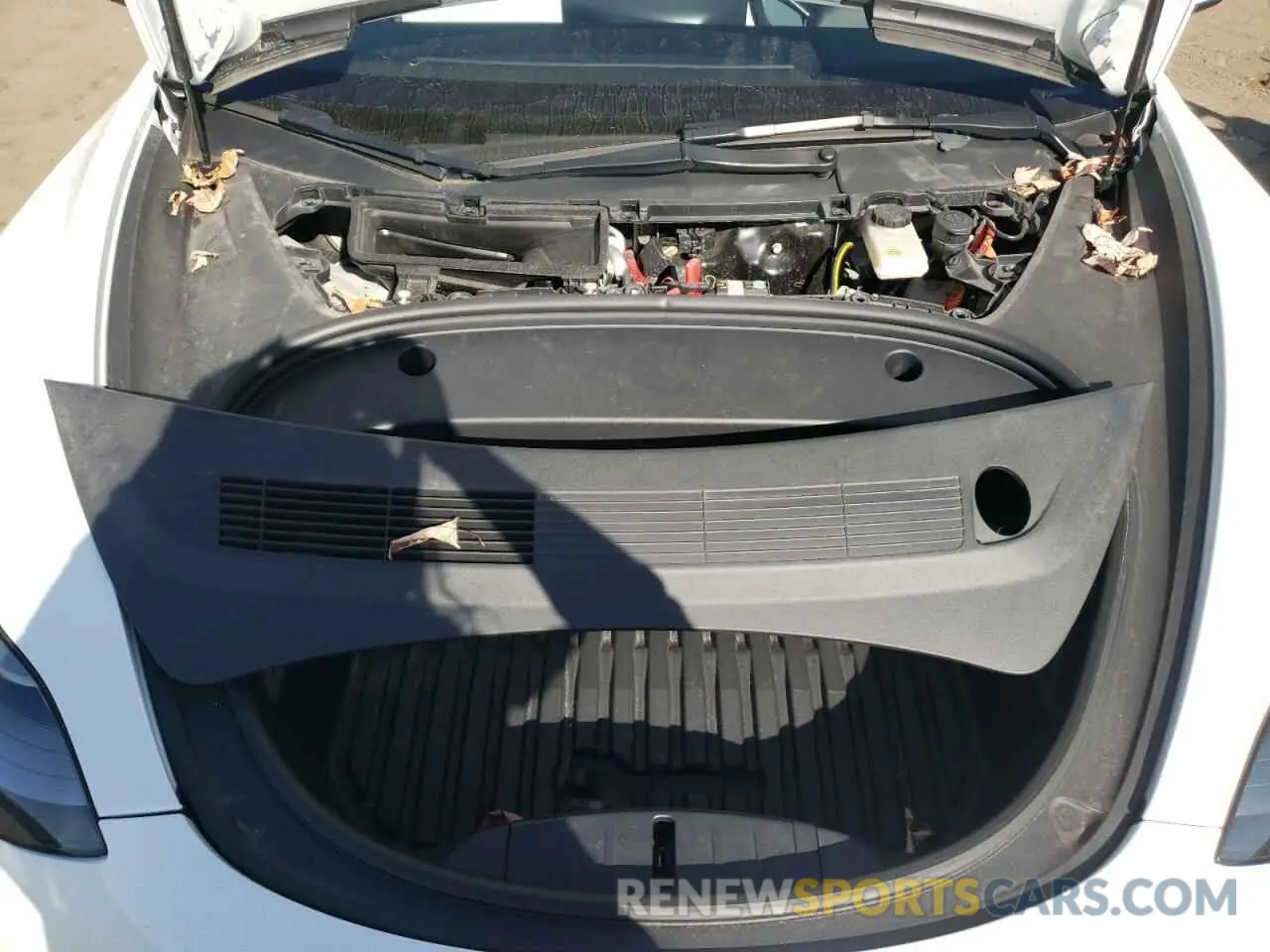 11 fotografías del automóvil dañado 5YJ3E1EA7PF414619 TESLA MODEL 3 2023