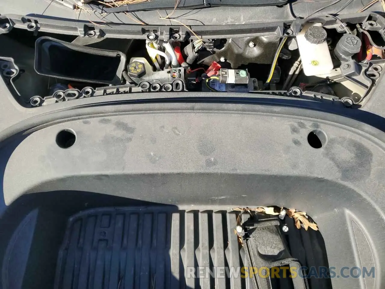 11 fotografías del automóvil dañado 5YJ3E1EA7PF437124 TESLA MODEL 3 2023