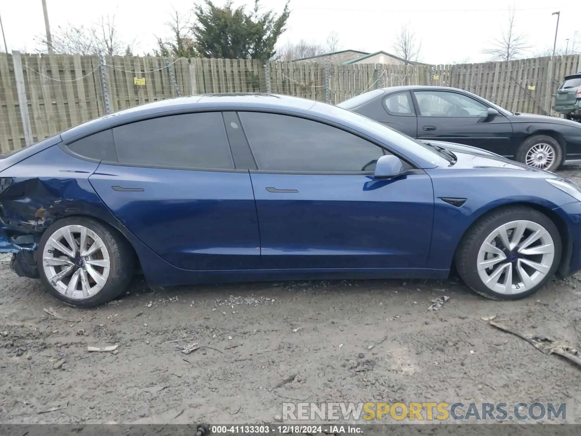 12 fotografías del automóvil dañado 5YJ3E1EA7PF446874 TESLA MODEL 3 2023