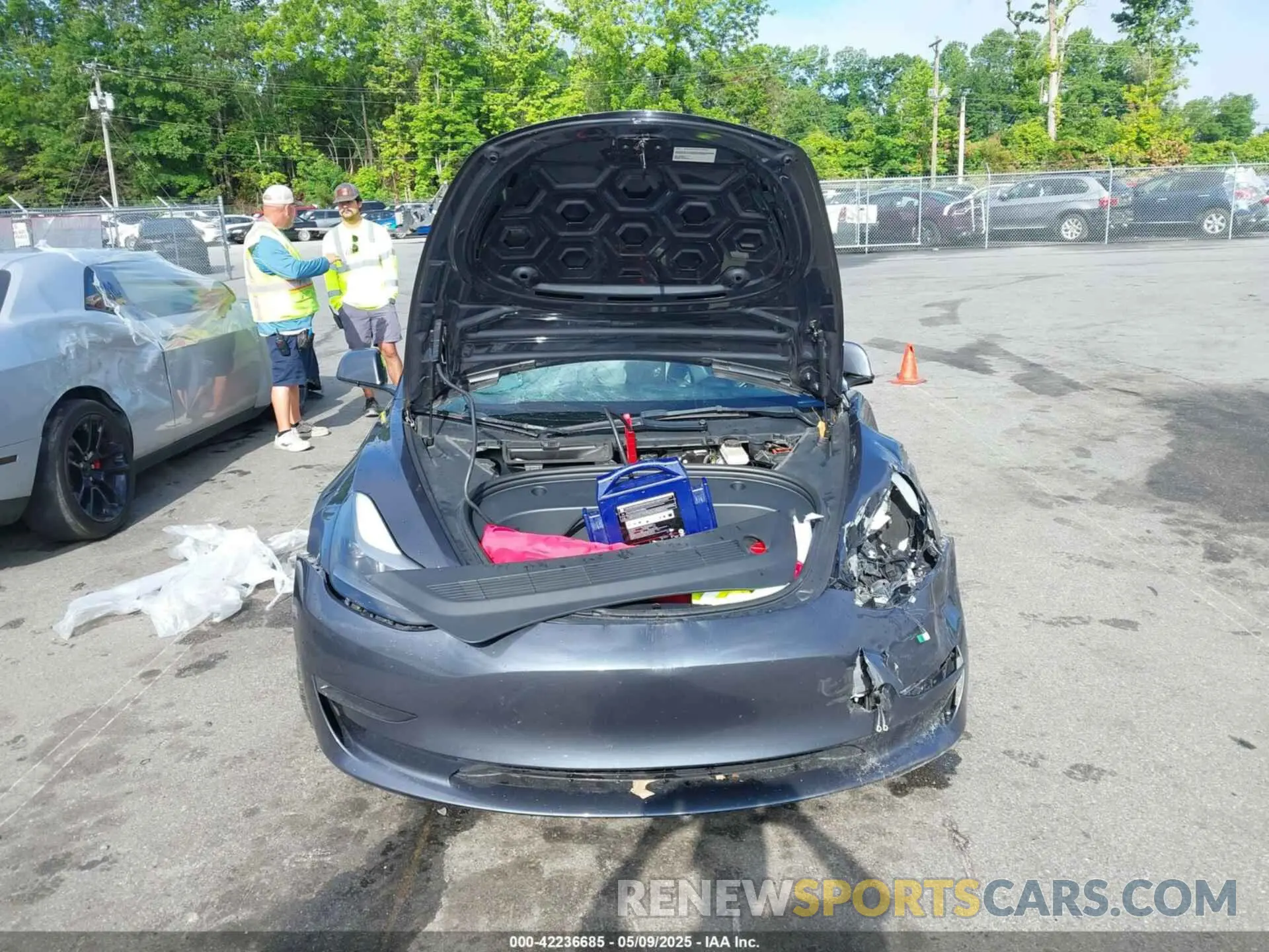 12 fotografías del automóvil dañado 5YJ3E1EA7PF457891 TESLA MODEL 3 2023
