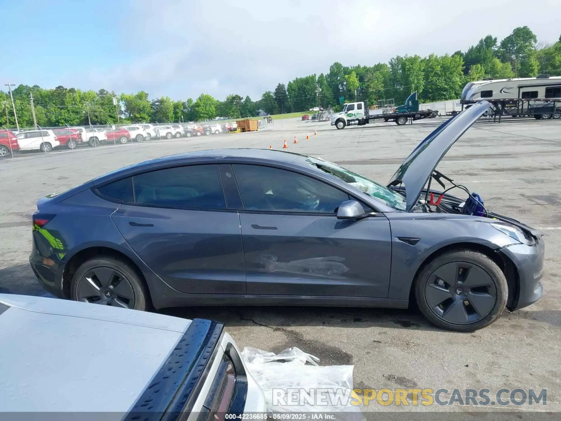 13 fotografías del automóvil dañado 5YJ3E1EA7PF457891 TESLA MODEL 3 2023