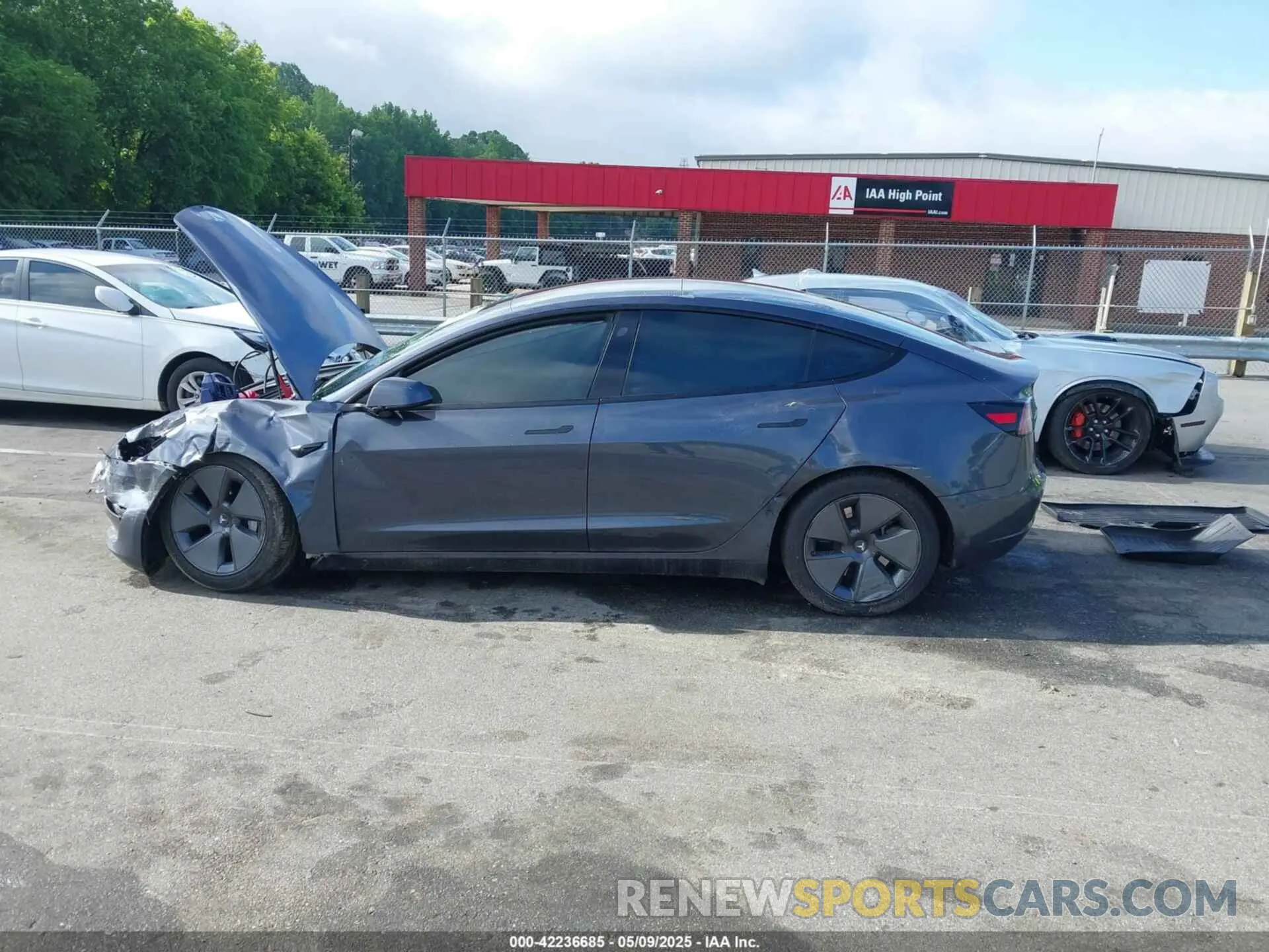 14 fotografías del automóvil dañado 5YJ3E1EA7PF457891 TESLA MODEL 3 2023