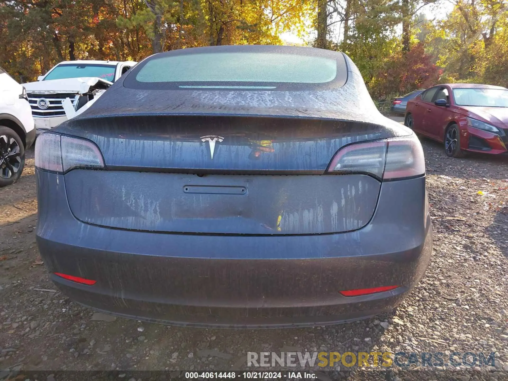 15 fotografías del automóvil dañado 5YJ3E1EA7PF458006 TESLA MODEL 3 2023