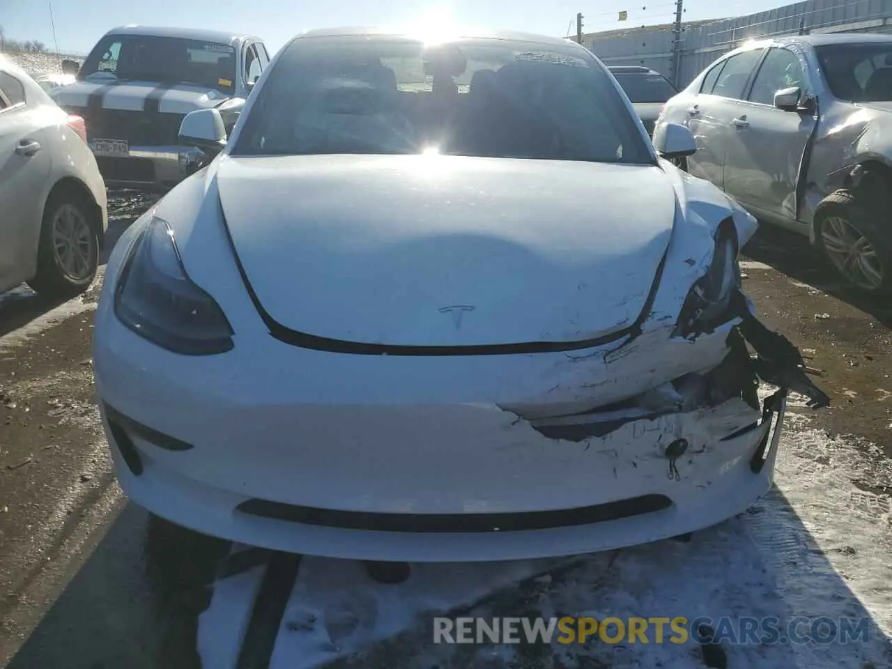 5 fotografías del automóvil dañado 5YJ3E1EA7PF491393 TESLA MODEL 3 2023