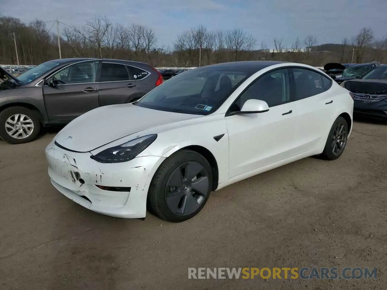 1 fotografías del automóvil dañado 5YJ3E1EA7PF561815 TESLA MODEL 3 2023