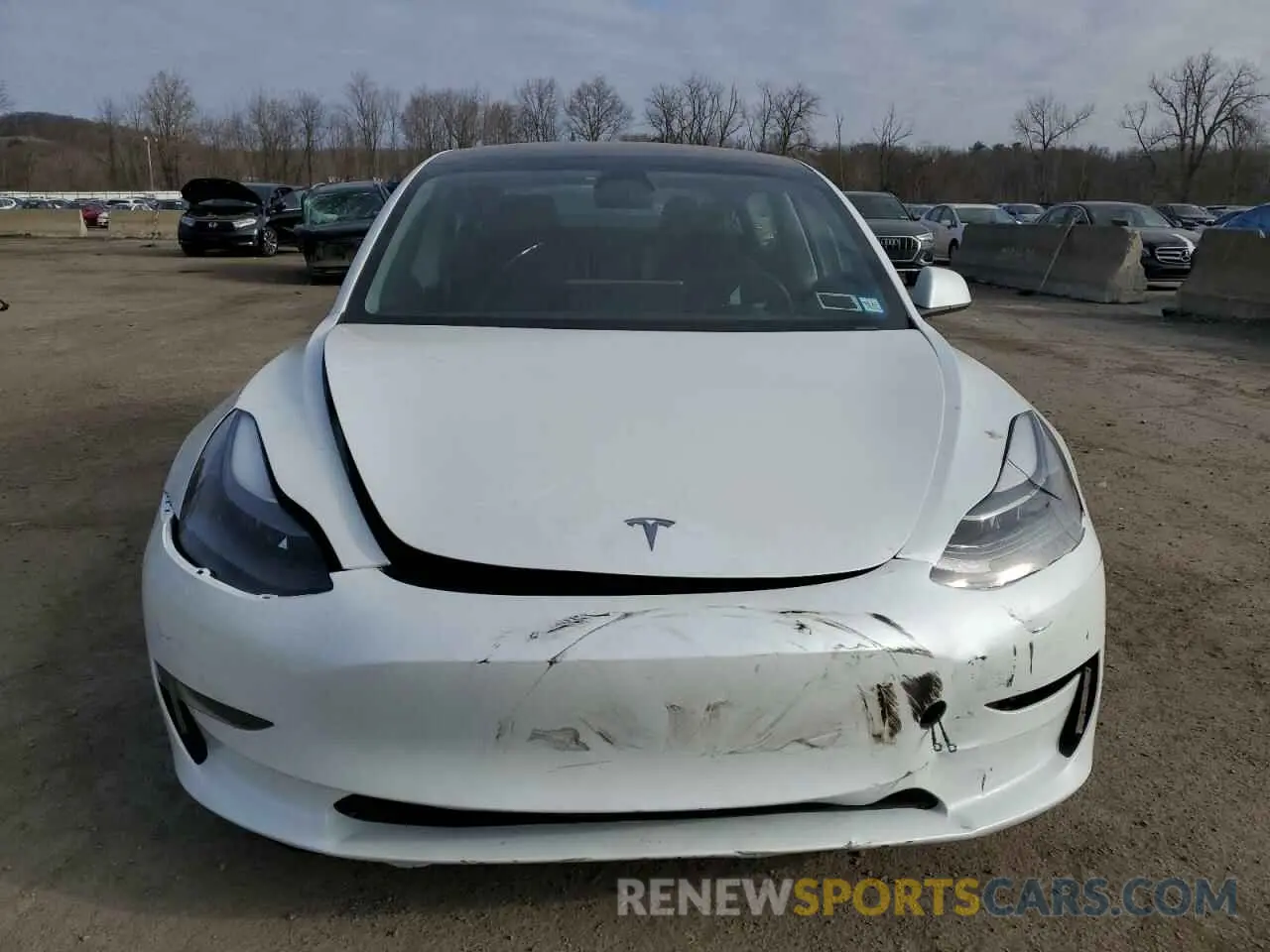 5 fotografías del automóvil dañado 5YJ3E1EA7PF561815 TESLA MODEL 3 2023