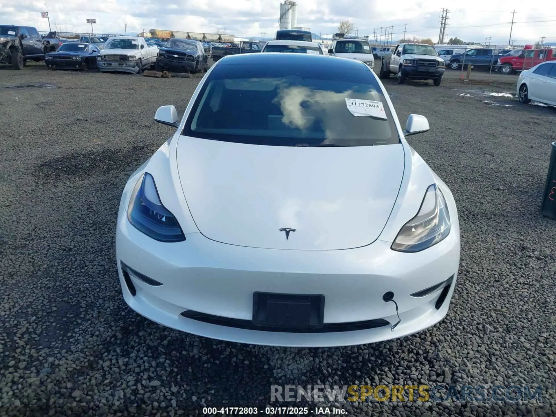 12 fotografías del automóvil dañado 5YJ3E1EA7PF570871 TESLA MODEL 3 2023