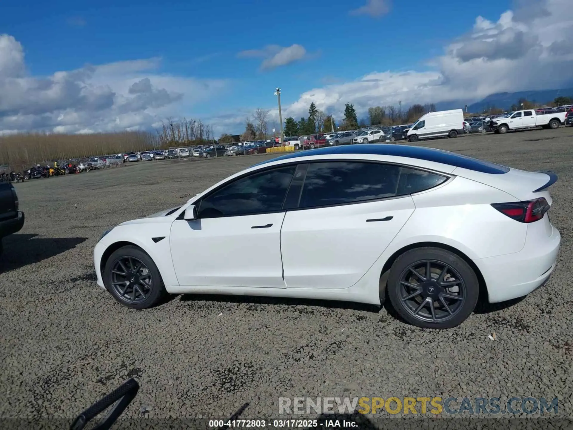 14 fotografías del automóvil dañado 5YJ3E1EA7PF570871 TESLA MODEL 3 2023