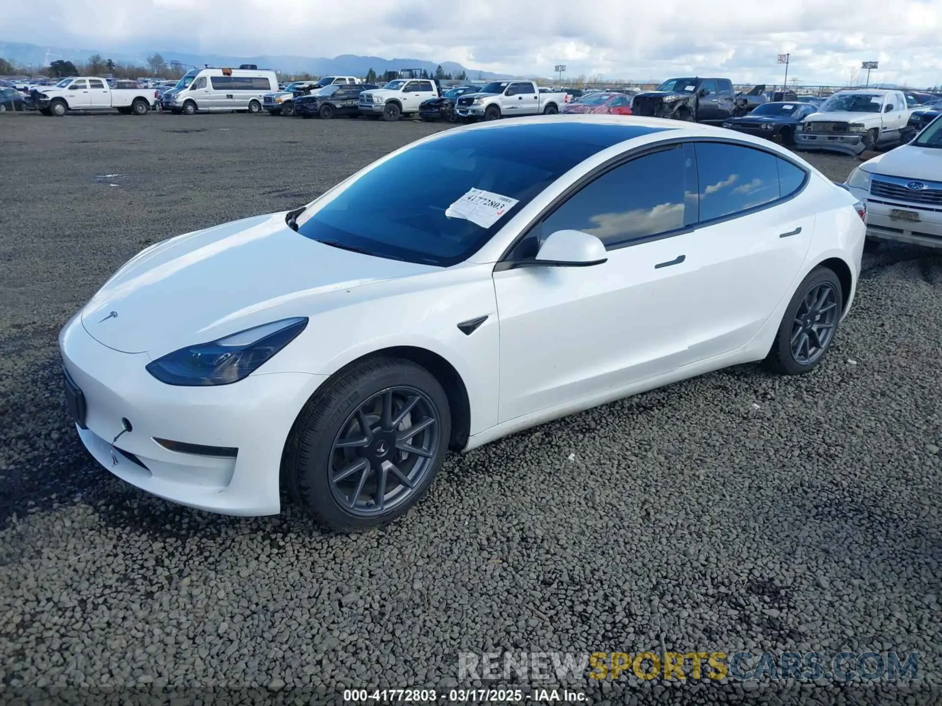 2 fotografías del automóvil dañado 5YJ3E1EA7PF570871 TESLA MODEL 3 2023