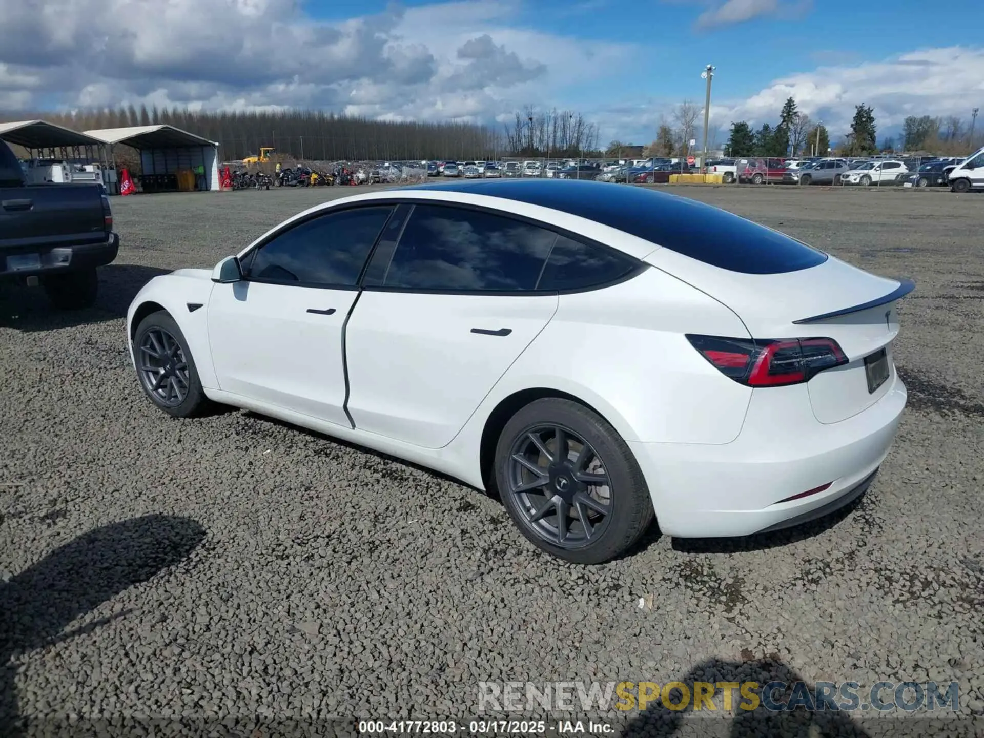 3 fotografías del automóvil dañado 5YJ3E1EA7PF570871 TESLA MODEL 3 2023