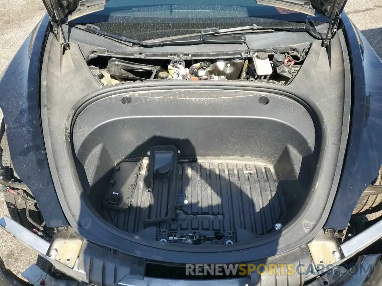 11 fotografías del automóvil dañado 5YJ3E1EA7PF576816 TESLA MODEL 3 2023