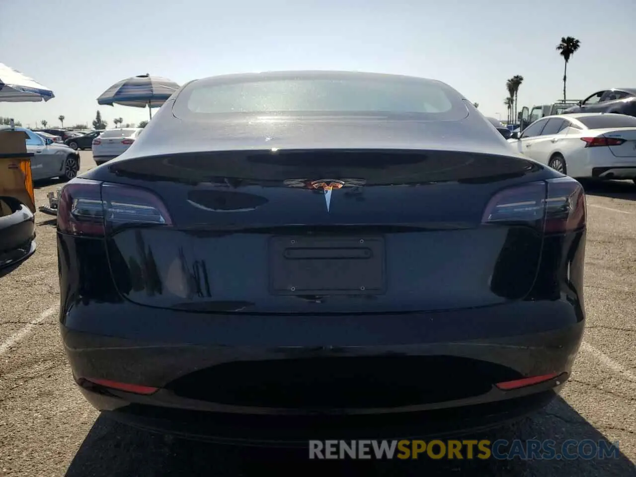 6 fotografías del automóvil dañado 5YJ3E1EA7PF576816 TESLA MODEL 3 2023