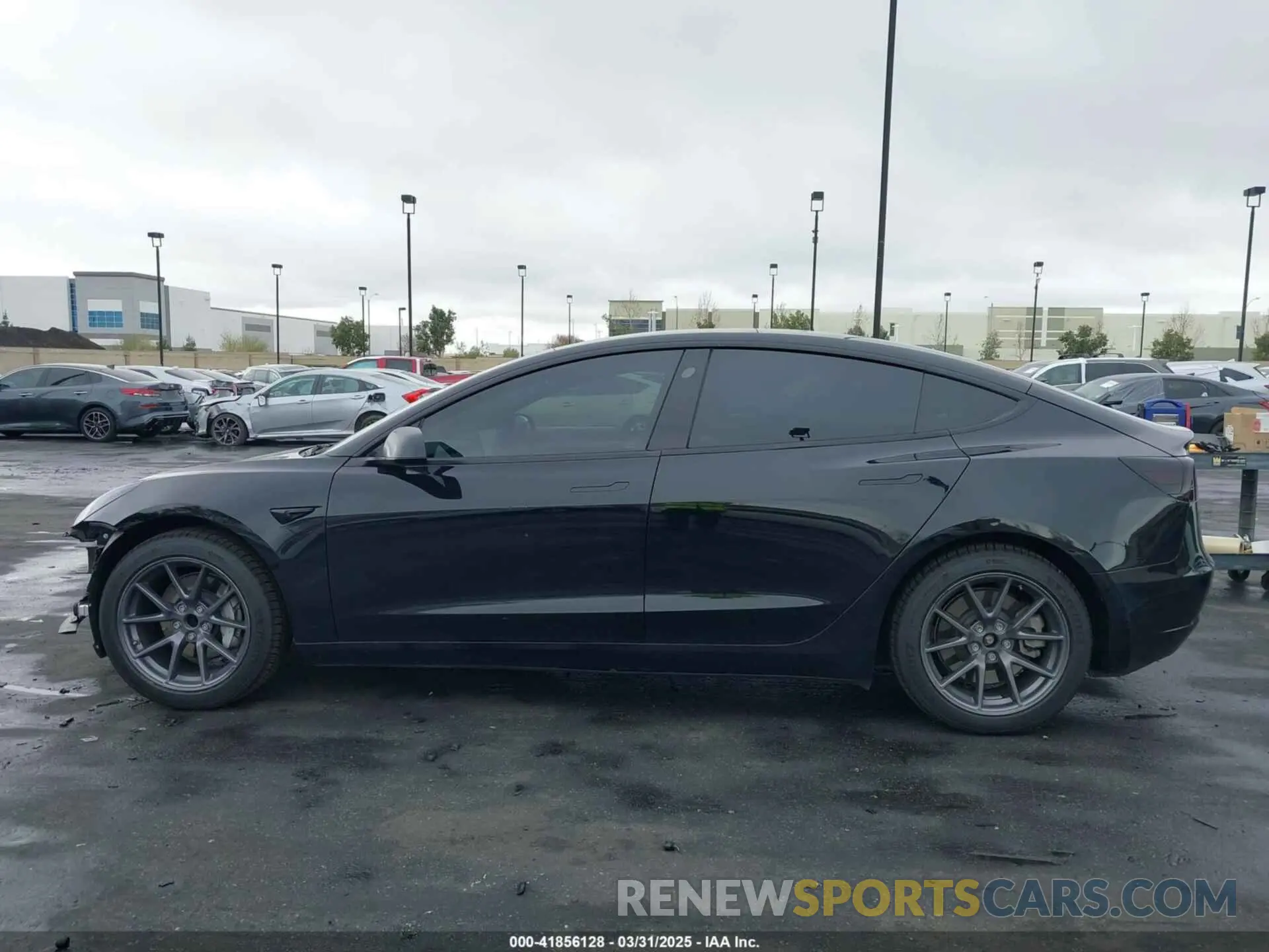 15 fotografías del automóvil dañado 5YJ3E1EA7PF587427 TESLA MODEL 3 2023