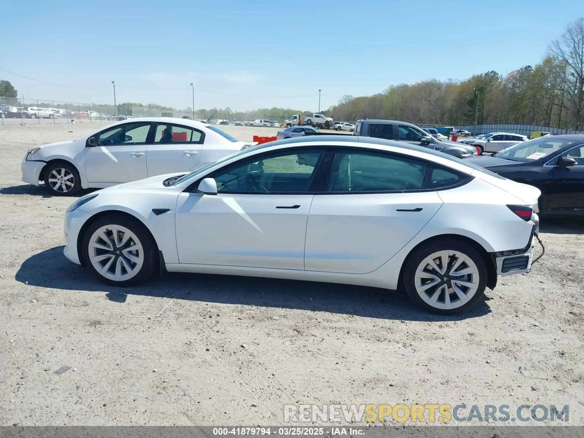 15 fotografías del automóvil dañado 5YJ3E1EA7PF592966 TESLA MODEL 3 2023