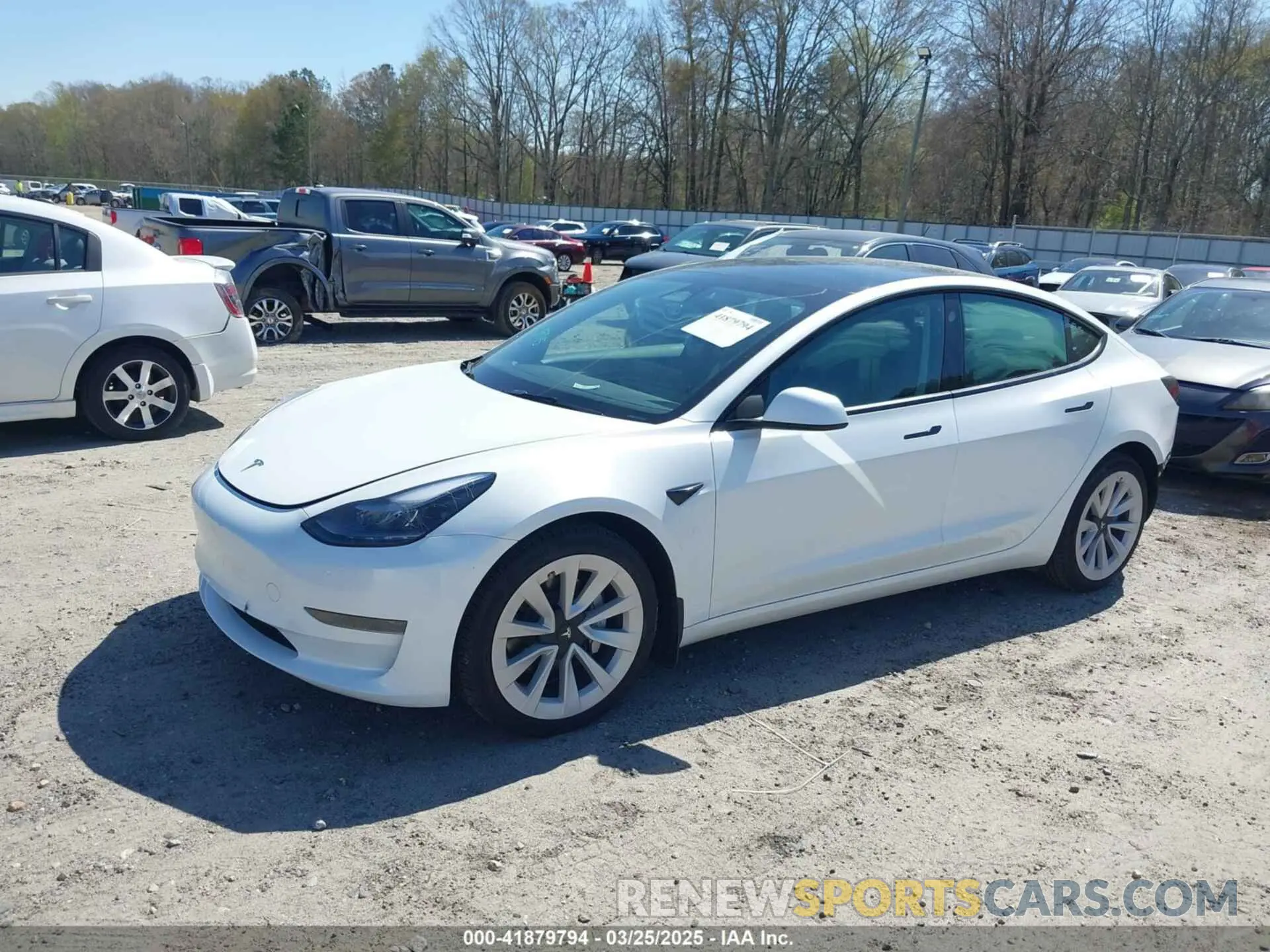 2 fotografías del automóvil dañado 5YJ3E1EA7PF592966 TESLA MODEL 3 2023