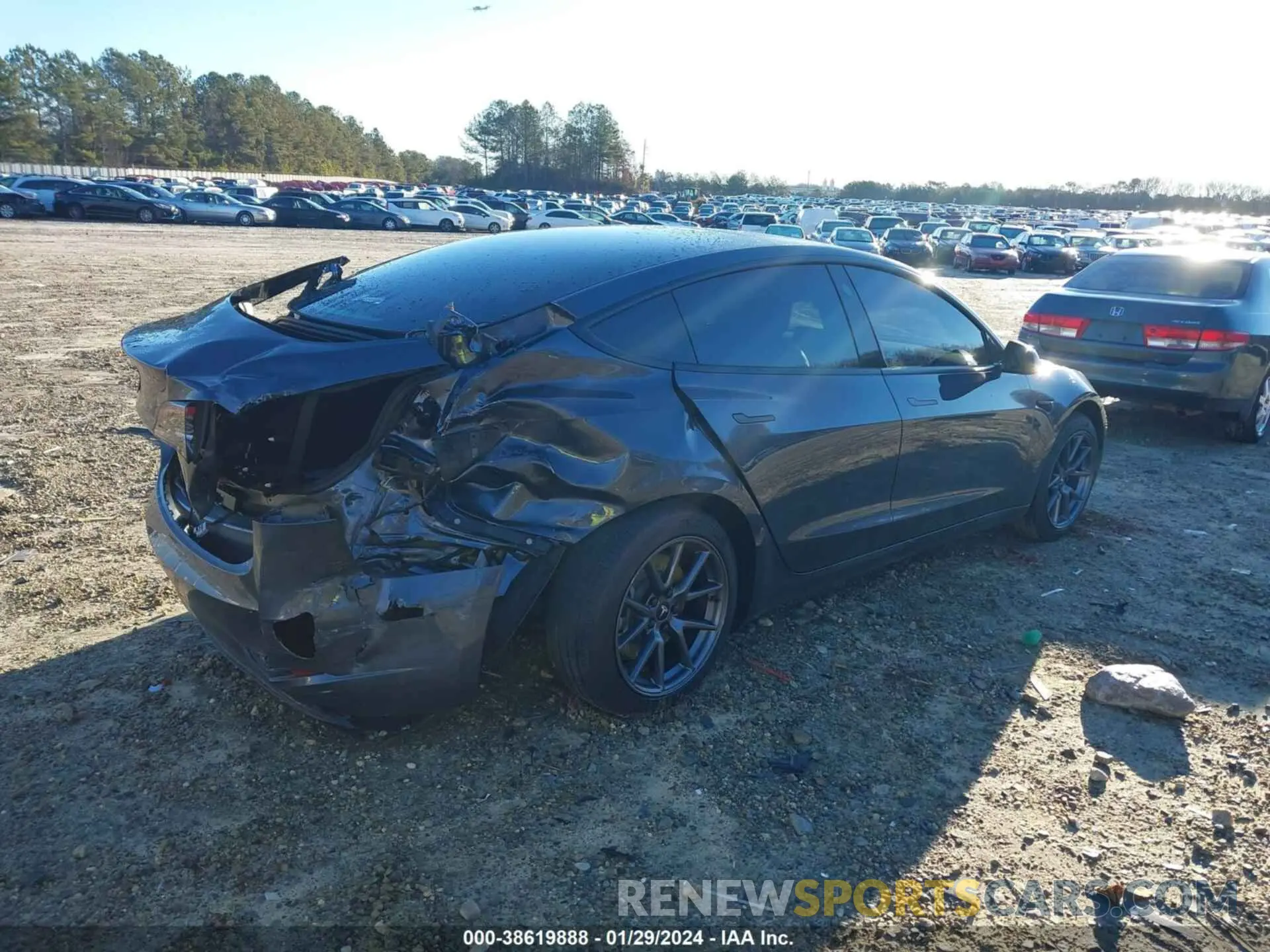 4 fotografías del automóvil dañado 5YJ3E1EA7PF637839 TESLA MODEL 3 2023