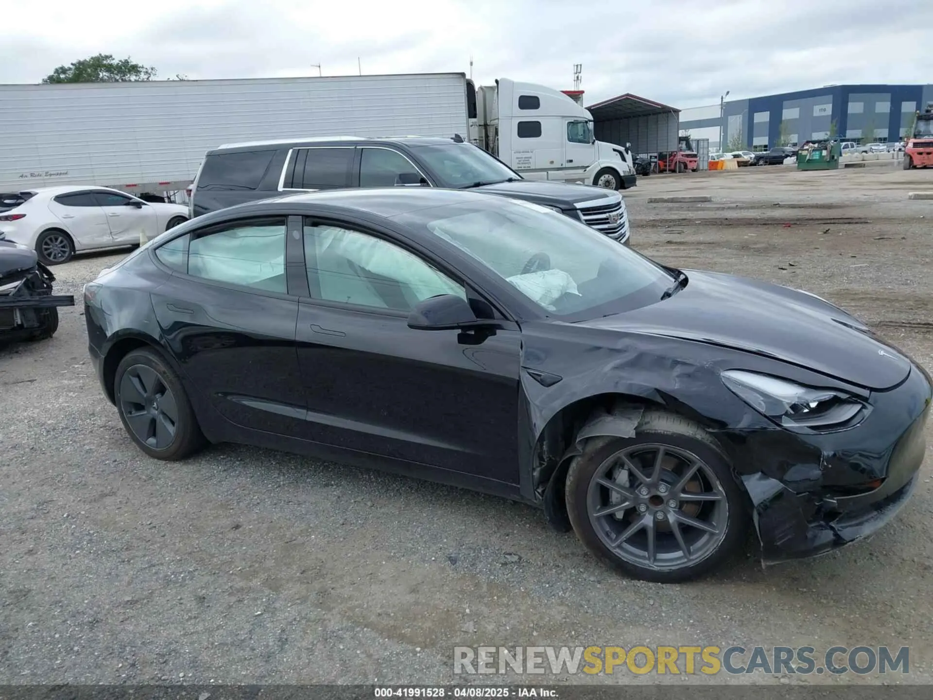 12 fotografías del automóvil dañado 5YJ3E1EA7PF654298 TESLA MODEL 3 2023
