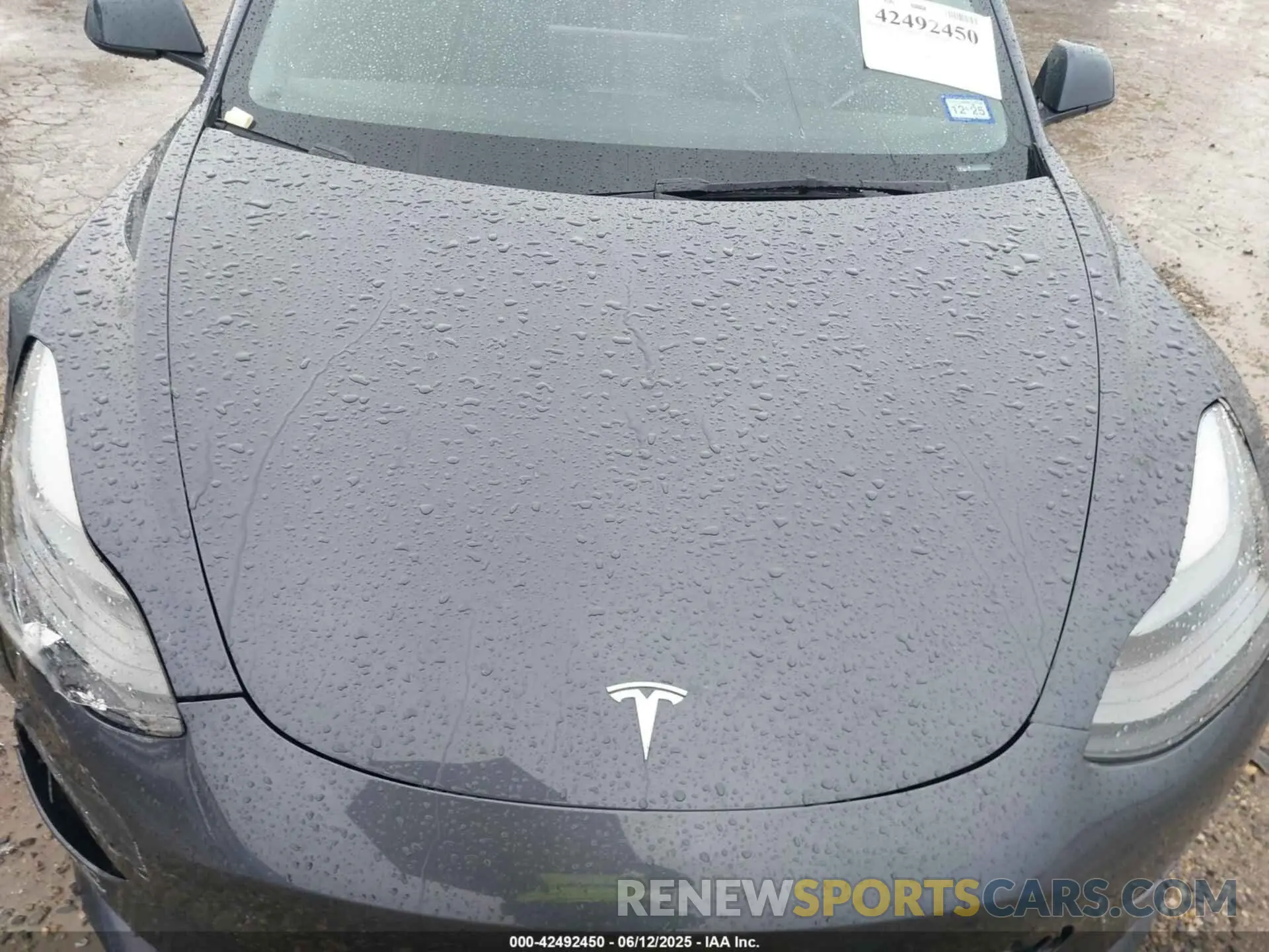 10 fotografías del automóvil dañado 5YJ3E1EA7PF701264 TESLA MODEL 3 2023