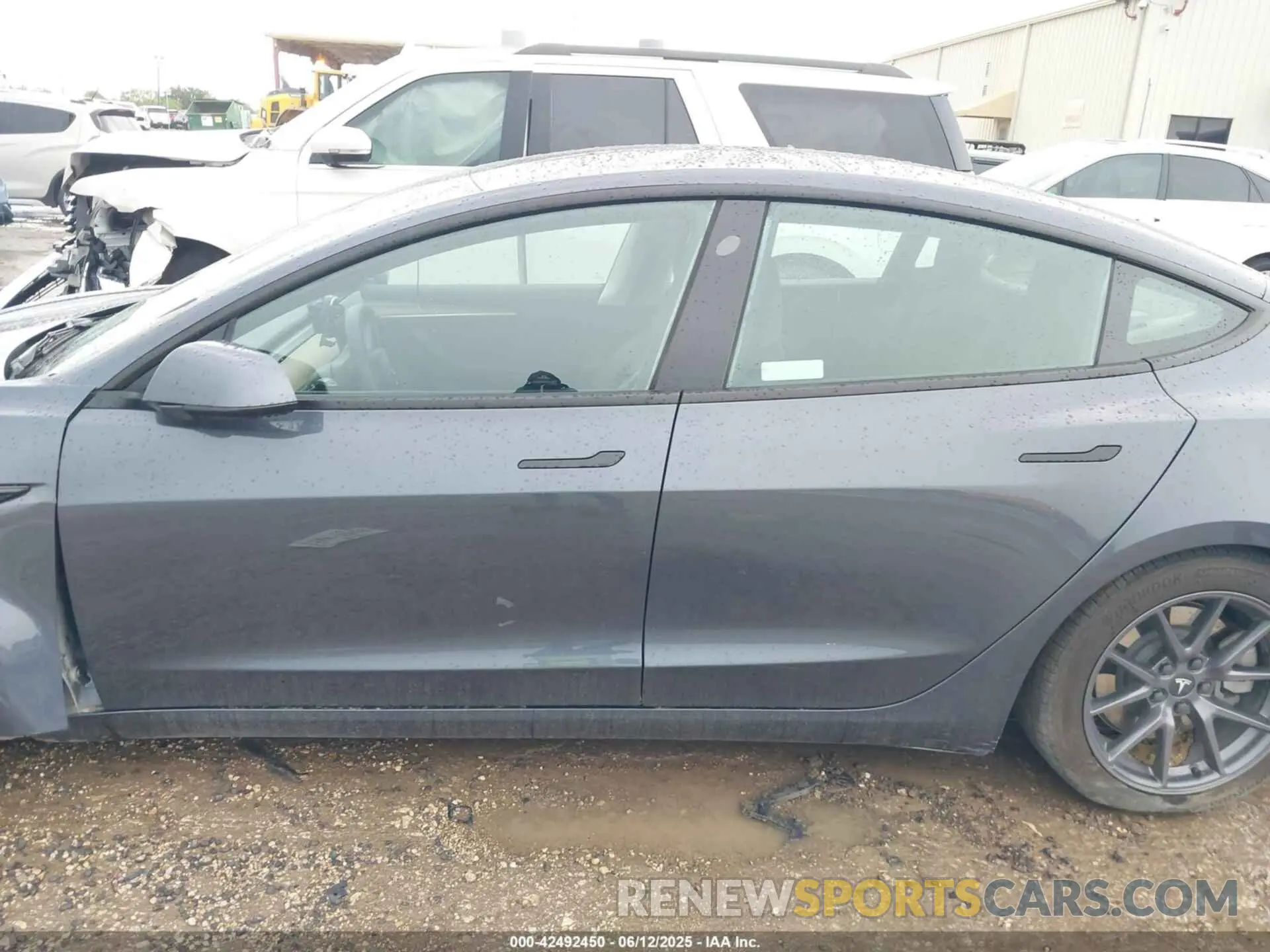 13 fotografías del automóvil dañado 5YJ3E1EA7PF701264 TESLA MODEL 3 2023