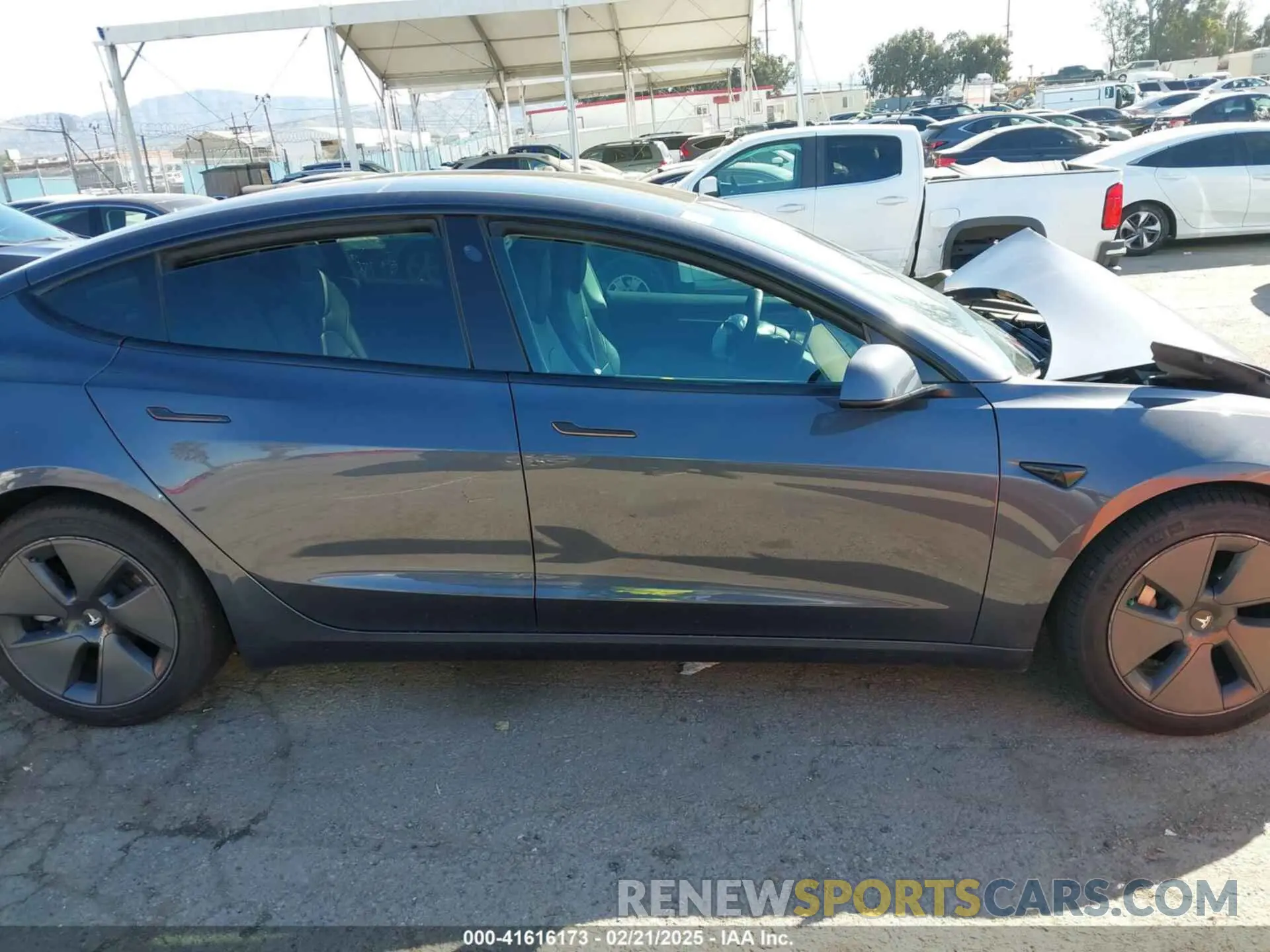 12 fotografías del automóvil dañado 5YJ3E1EA8PF431977 TESLA MODEL 3 2023