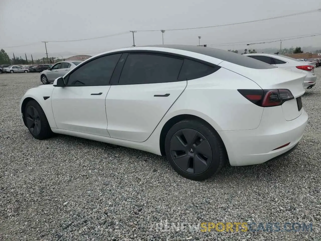 2 fotografías del automóvil dañado 5YJ3E1EA8PF495758 TESLA MODEL 3 2023
