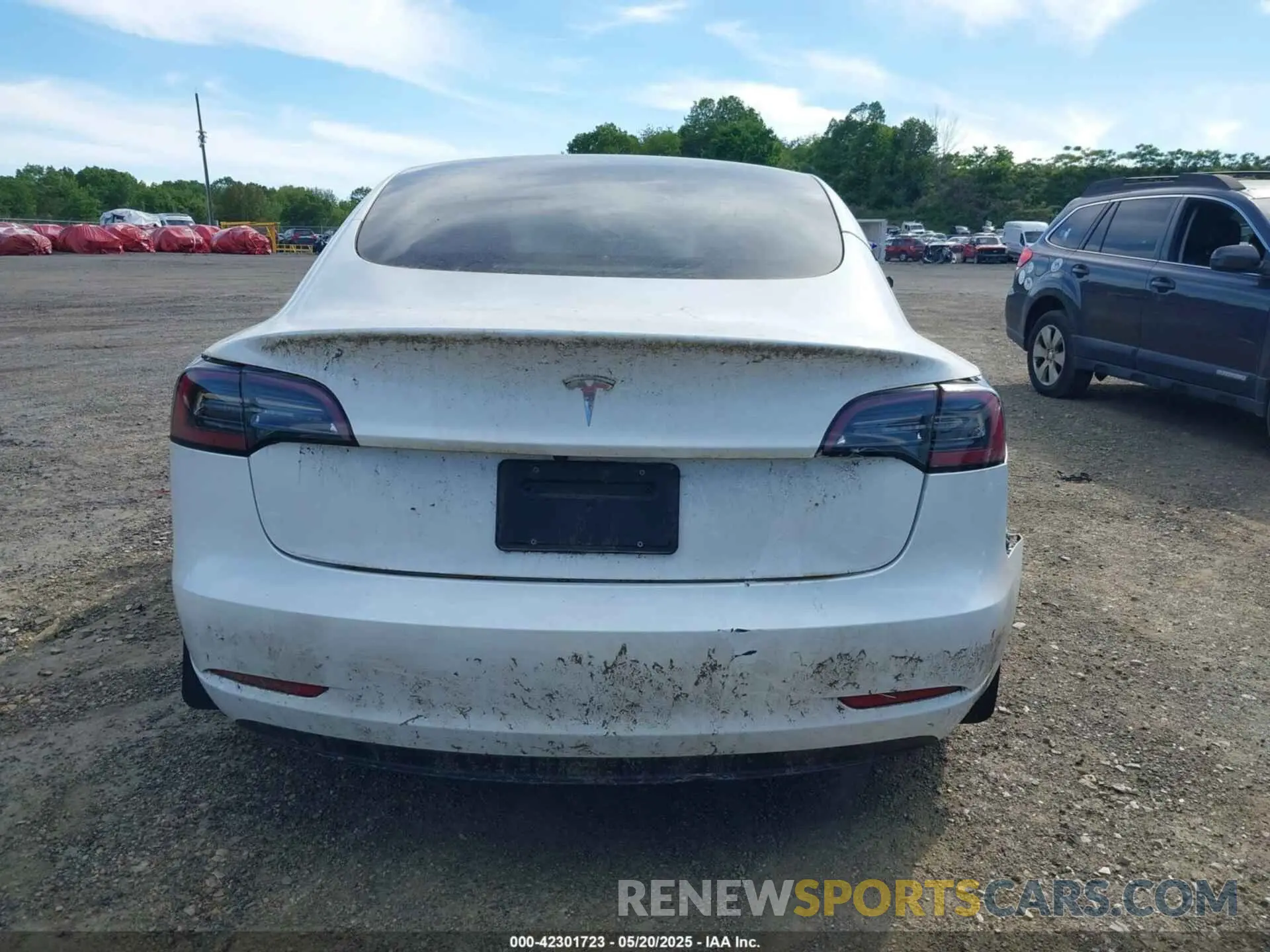 15 fotografías del automóvil dañado 5YJ3E1EA8PF575061 TESLA MODEL 3 2023