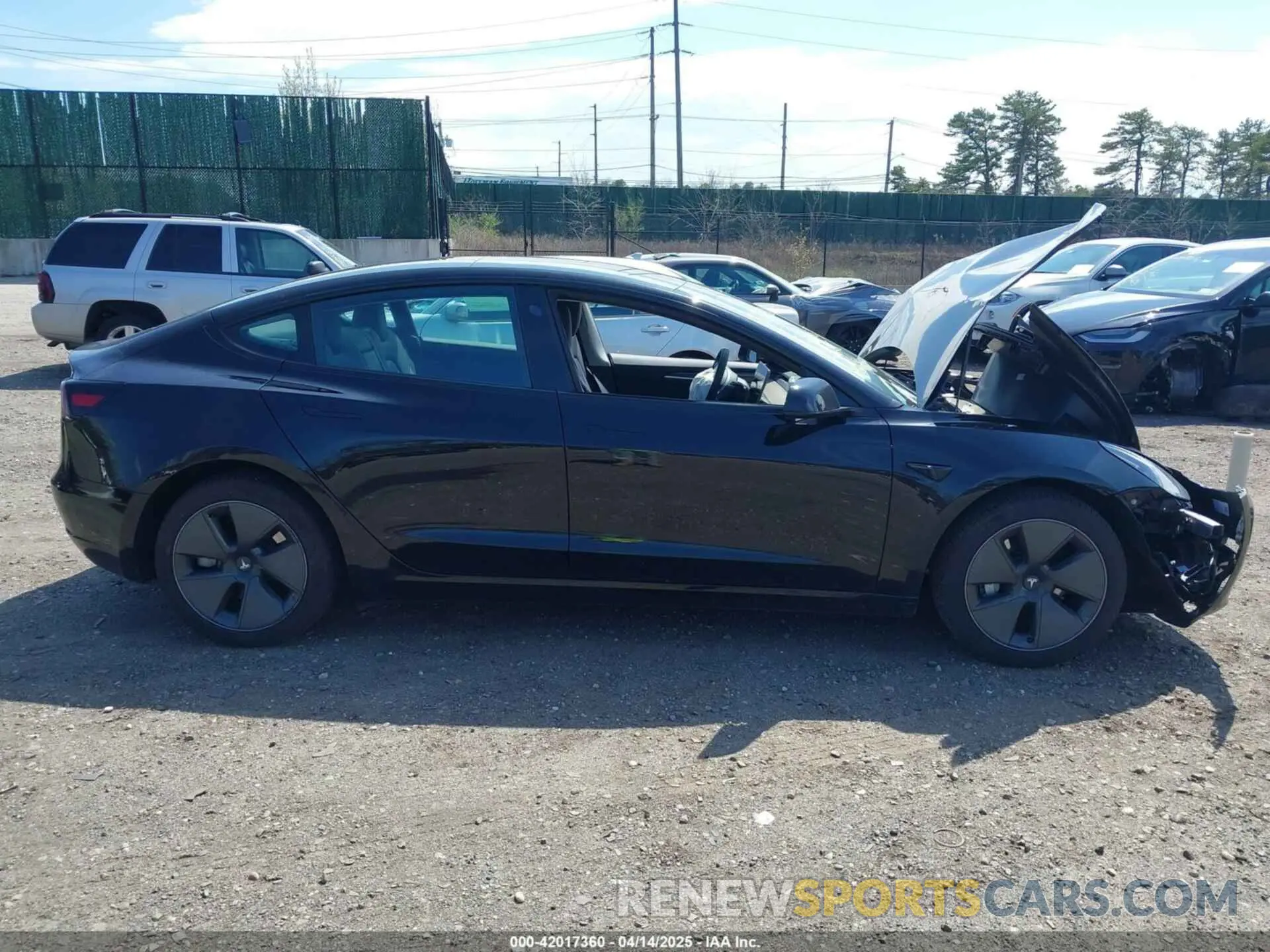 12 fotografías del automóvil dañado 5YJ3E1EA8PF579384 TESLA MODEL 3 2023