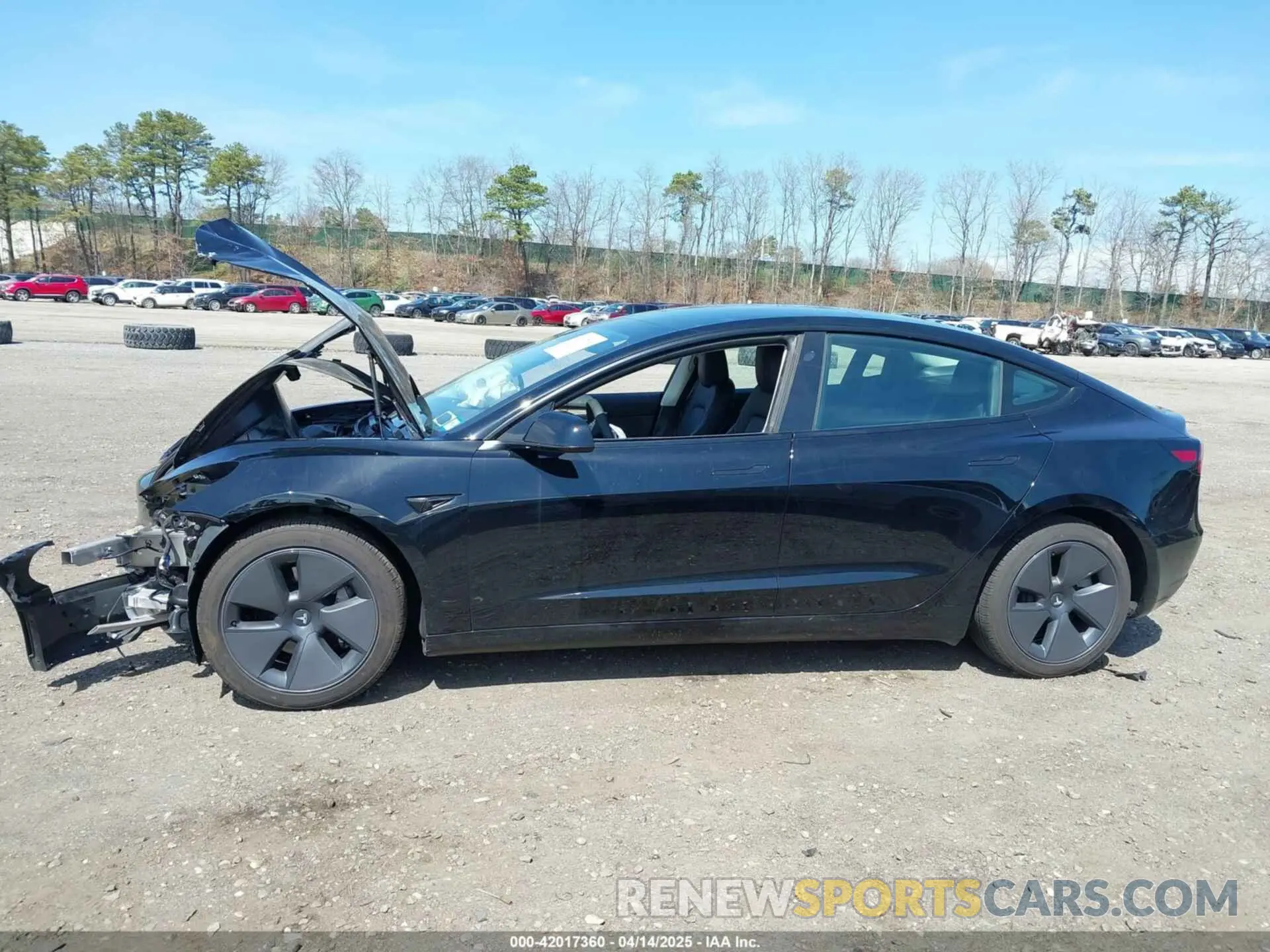 13 fotografías del automóvil dañado 5YJ3E1EA8PF579384 TESLA MODEL 3 2023