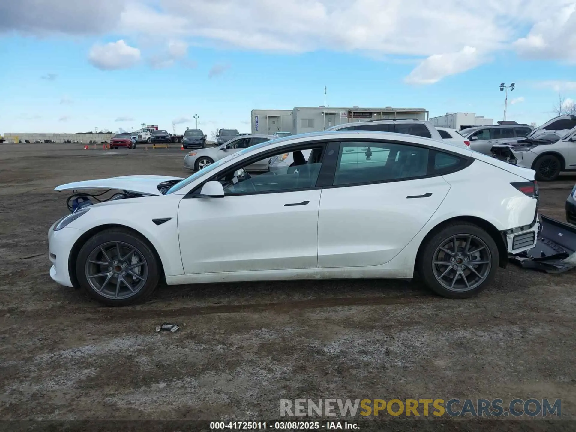 14 fotografías del automóvil dañado 5YJ3E1EA8PF610682 TESLA MODEL 3 2023