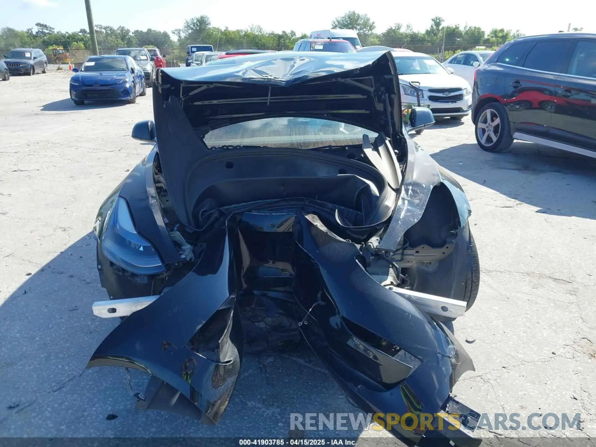 12 fotografías del automóvil dañado 5YJ3E1EA8PF620239 TESLA MODEL 3 2023