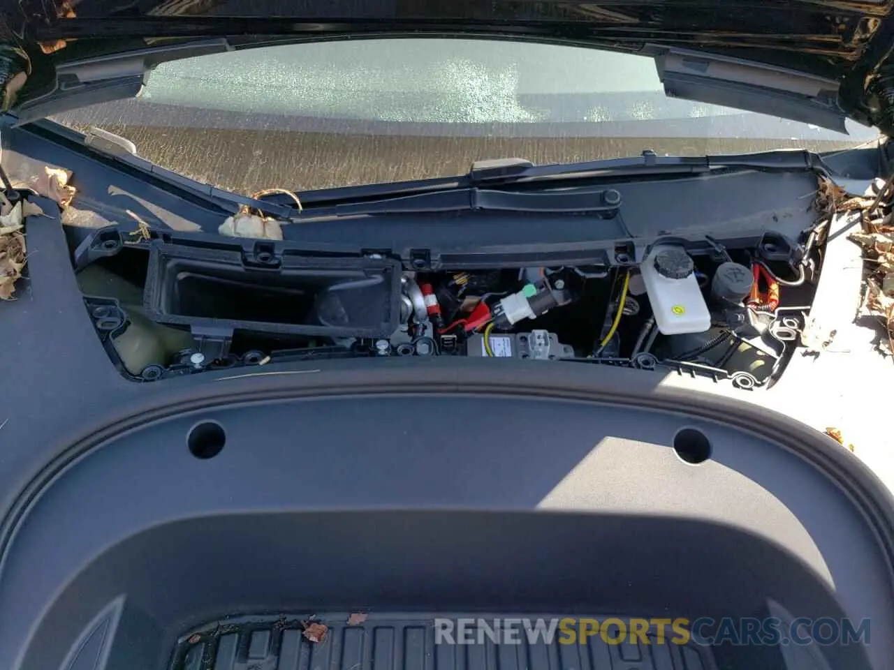 11 fotografías del automóvil dañado 5YJ3E1EA8PF664094 TESLA MODEL 3 2023