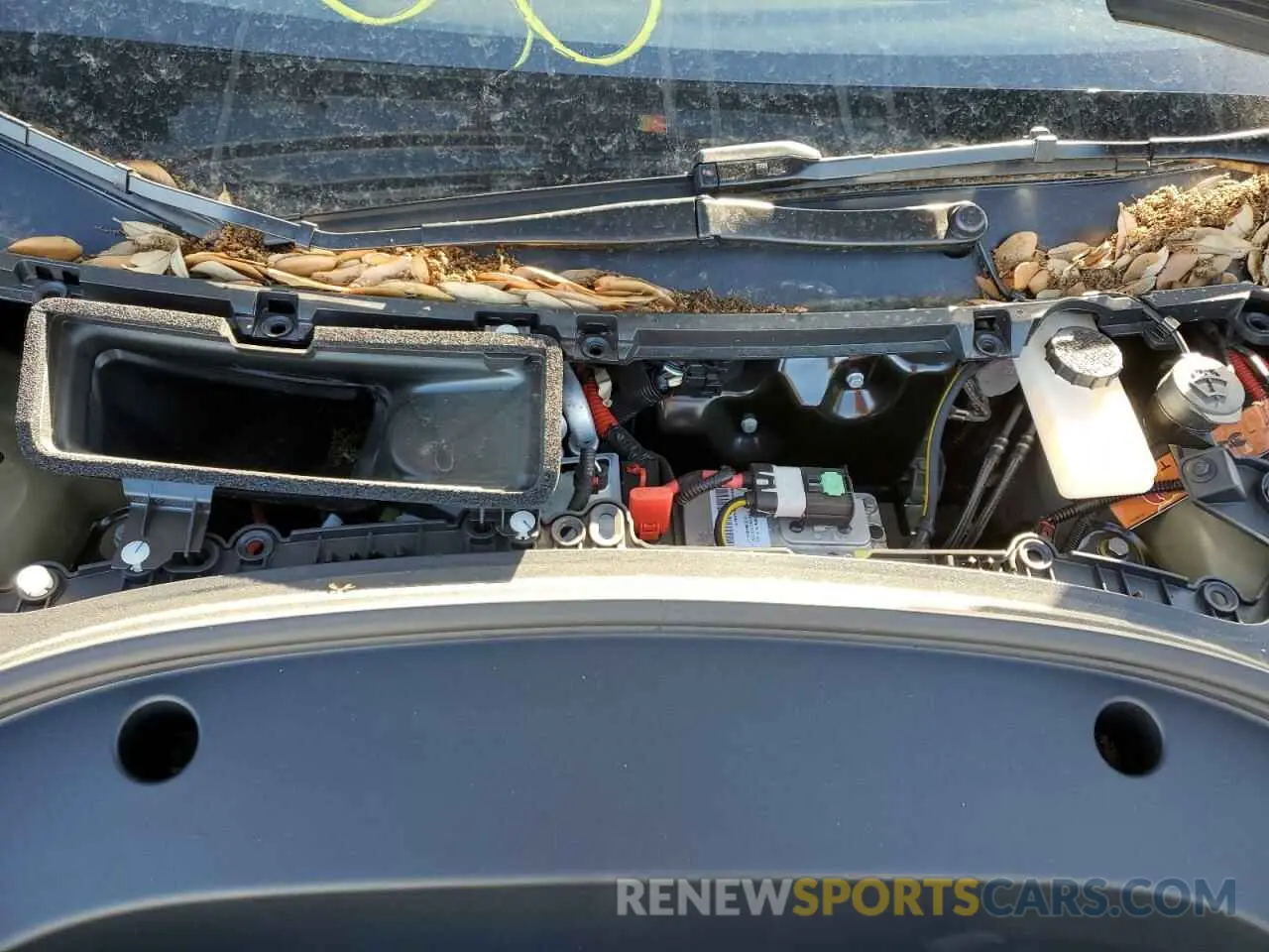 11 fotografías del automóvil dañado 5YJ3E1EA8PF672406 TESLA MODEL 3 2023