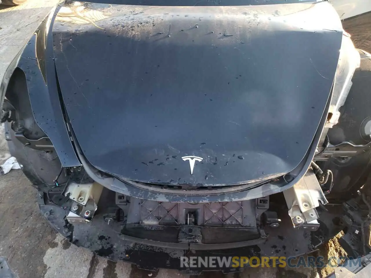 11 fotografías del automóvil dañado 5YJ3E1EA9PF435455 TESLA MODEL 3 2023