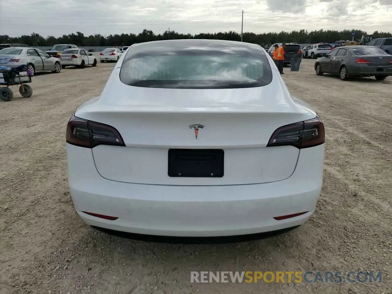 6 fotografías del automóvil dañado 5YJ3E1EA9PF449405 TESLA MODEL 3 2023