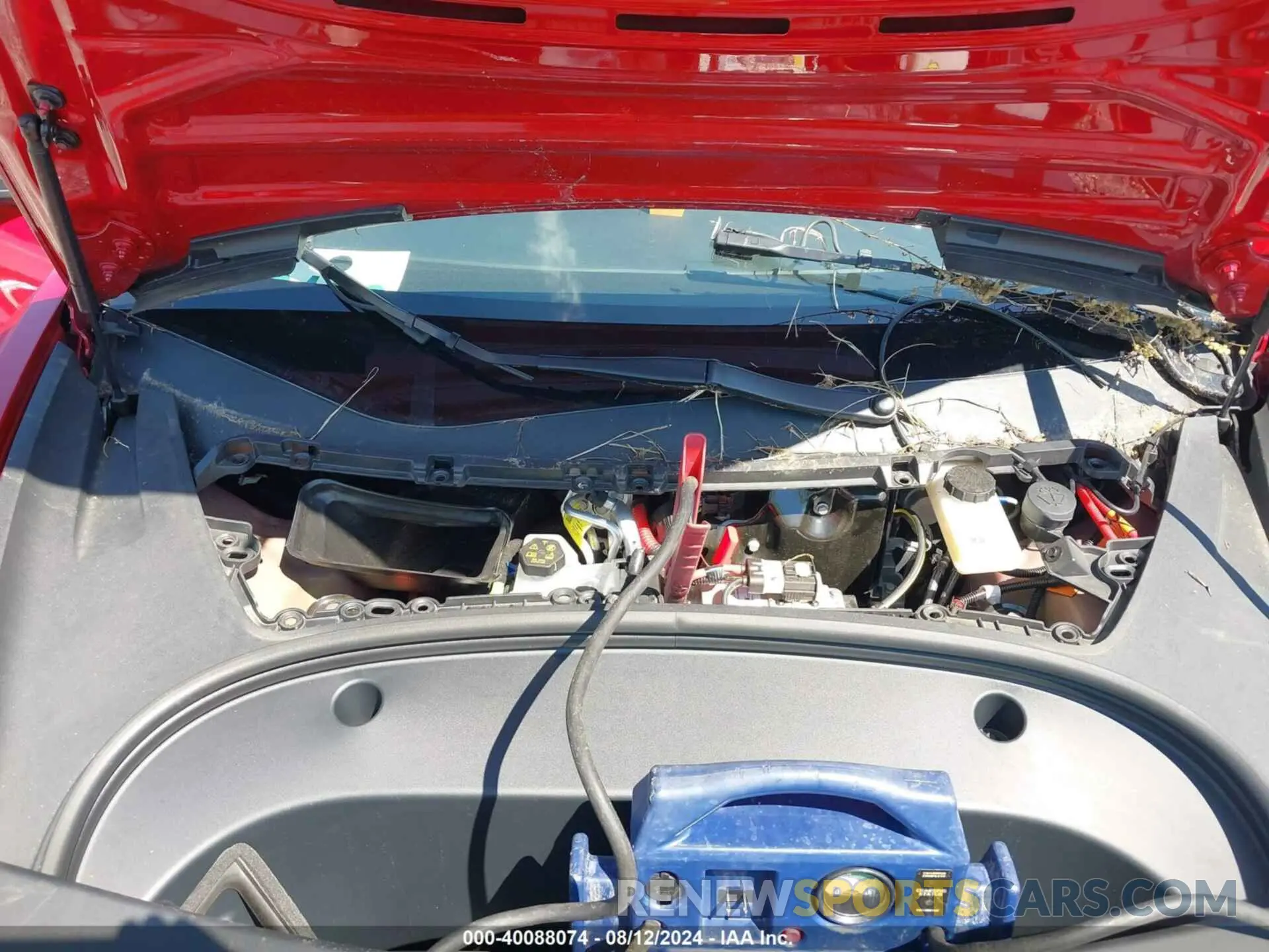 10 fotografías del automóvil dañado 5YJ3E1EA9PF451204 TESLA MODEL 3 2023