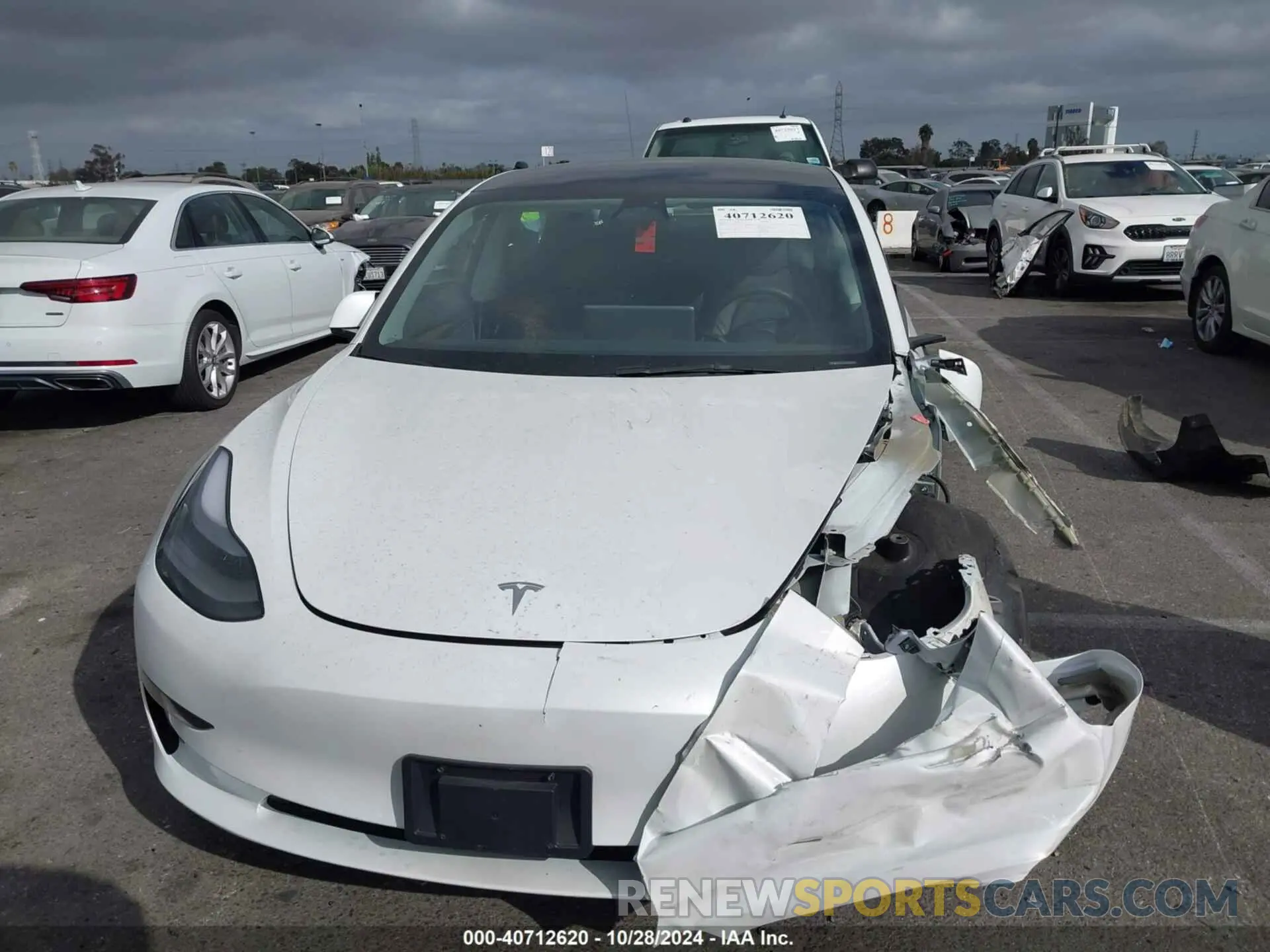 12 fotografías del automóvil dañado 5YJ3E1EA9PF460369 TESLA MODEL 3 2023