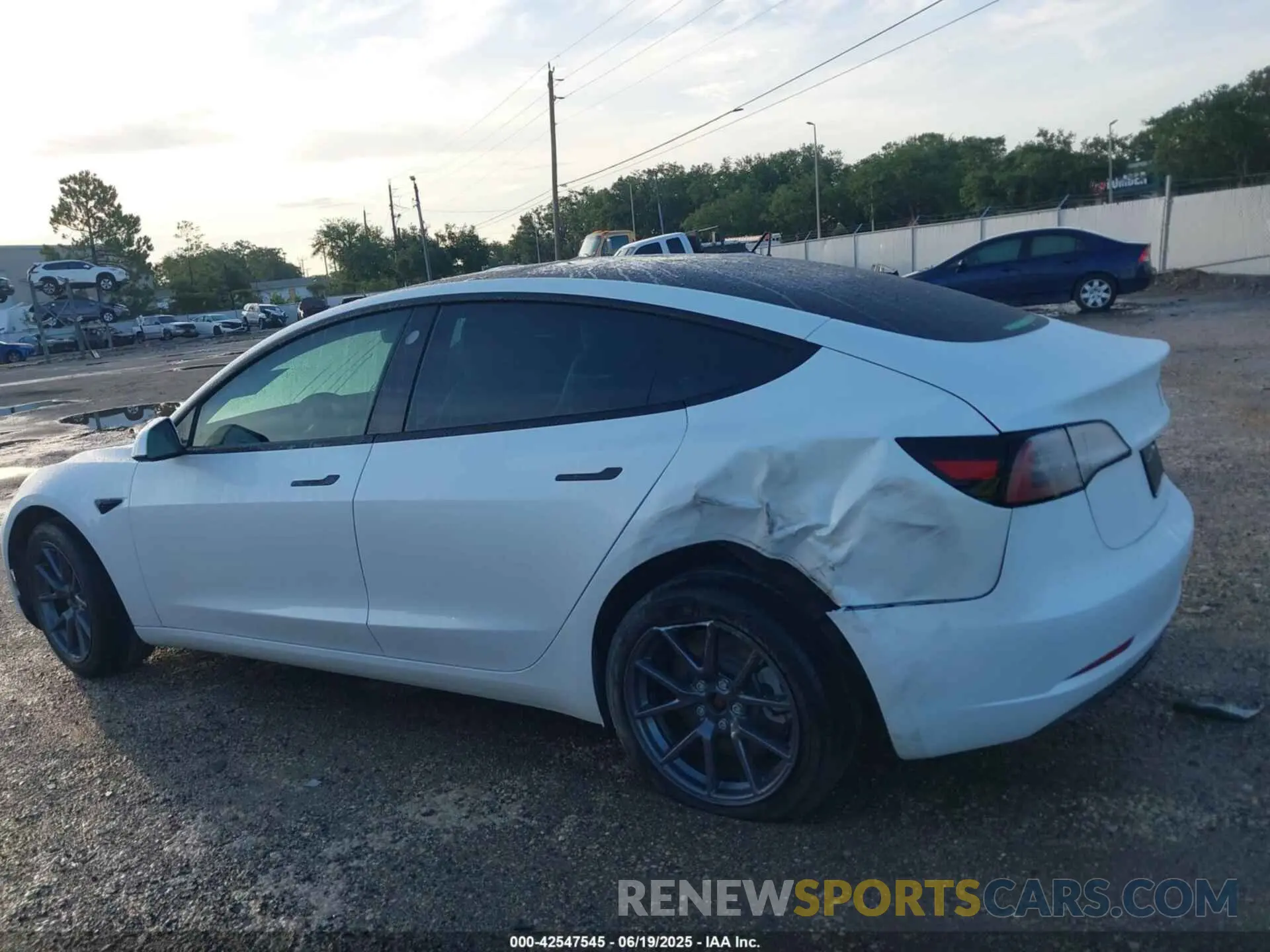 13 fotografías del automóvil dañado 5YJ3E1EA9PF479343 TESLA MODEL 3 2023