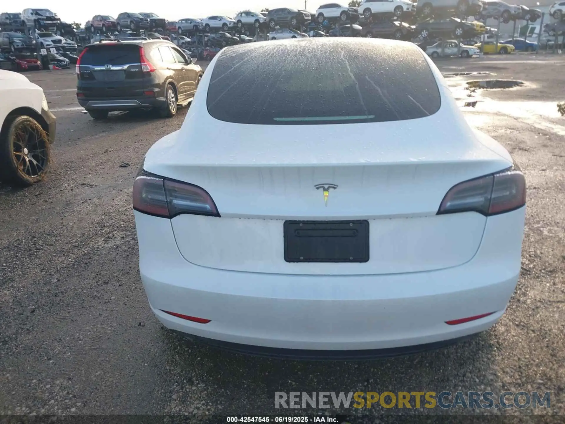 15 fotografías del automóvil dañado 5YJ3E1EA9PF479343 TESLA MODEL 3 2023