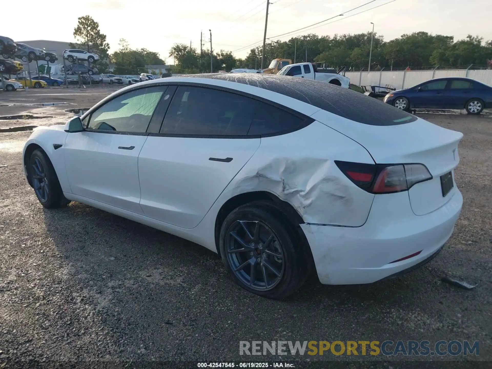 3 fotografías del automóvil dañado 5YJ3E1EA9PF479343 TESLA MODEL 3 2023
