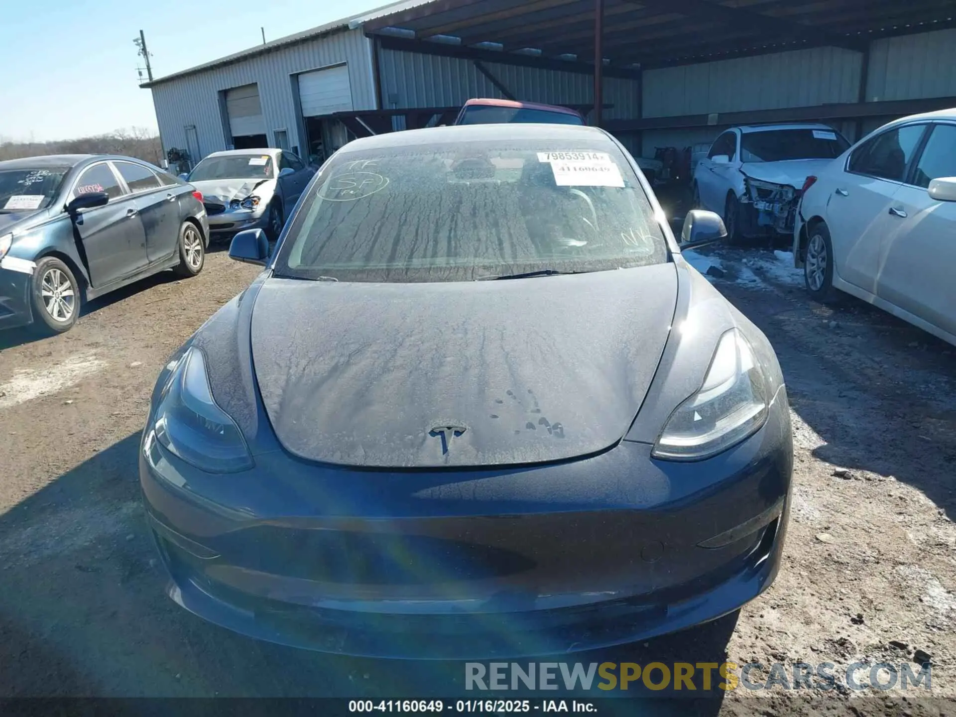 11 fotografías del automóvil dañado 5YJ3E1EA9PF548502 TESLA MODEL 3 2023