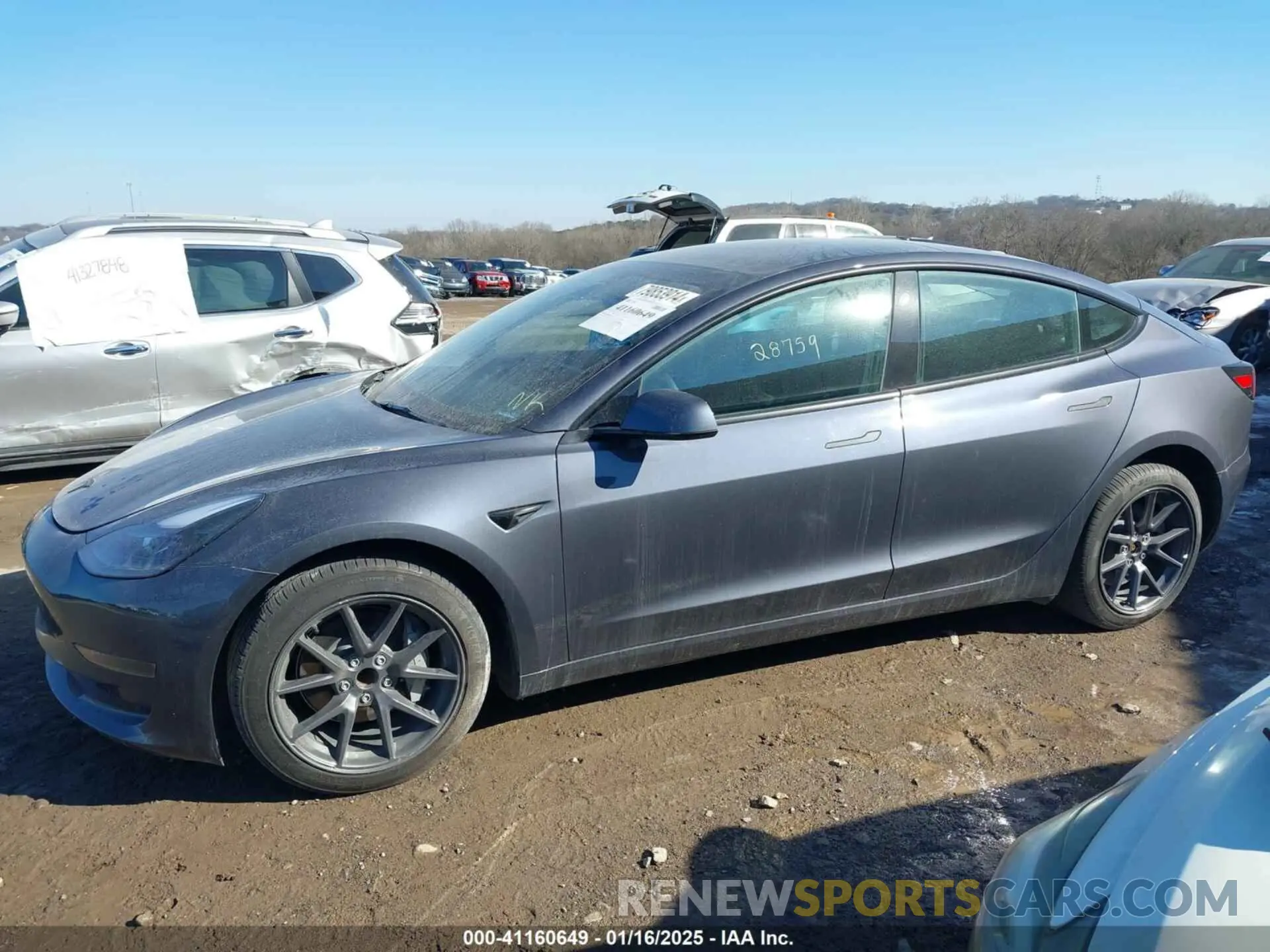 13 fotografías del automóvil dañado 5YJ3E1EA9PF548502 TESLA MODEL 3 2023